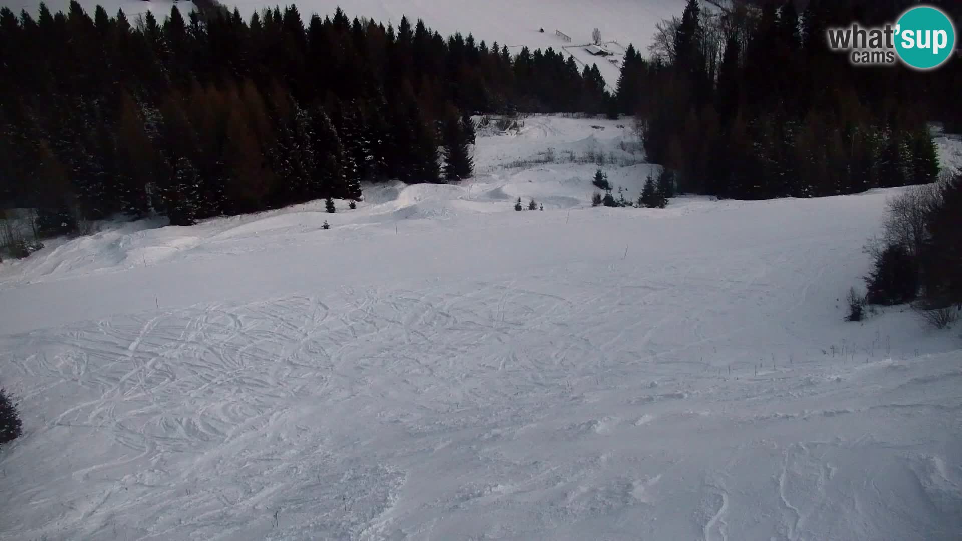 Vitranc Kranjska Gora webcam | VITRANC 1 stazione superiore