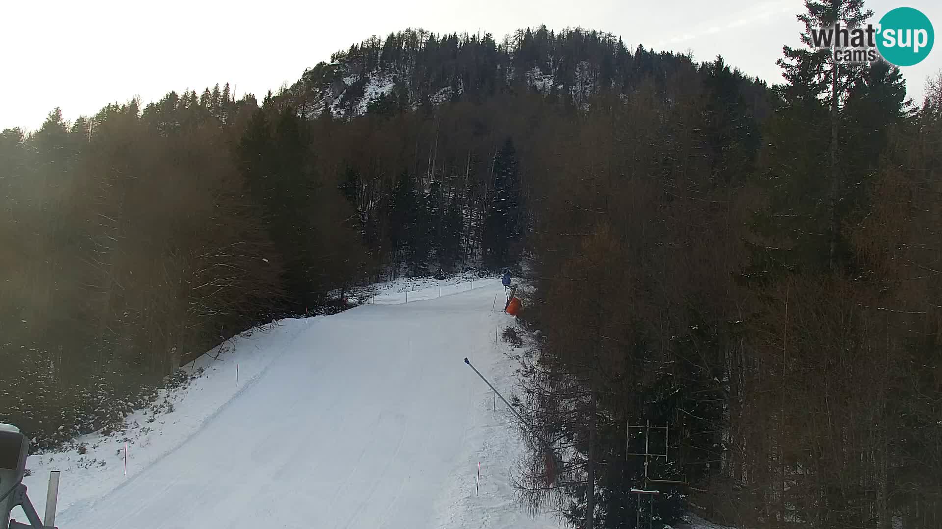 Vitranc Kranjska Gora webcam | VITRANC 1 stazione superiore