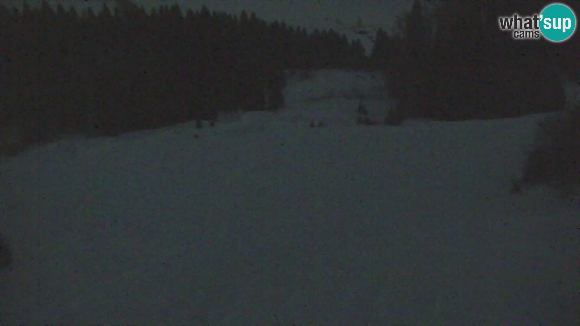 Vitranc Kranjska Gora webcam | VITRANC 1 stazione superiore