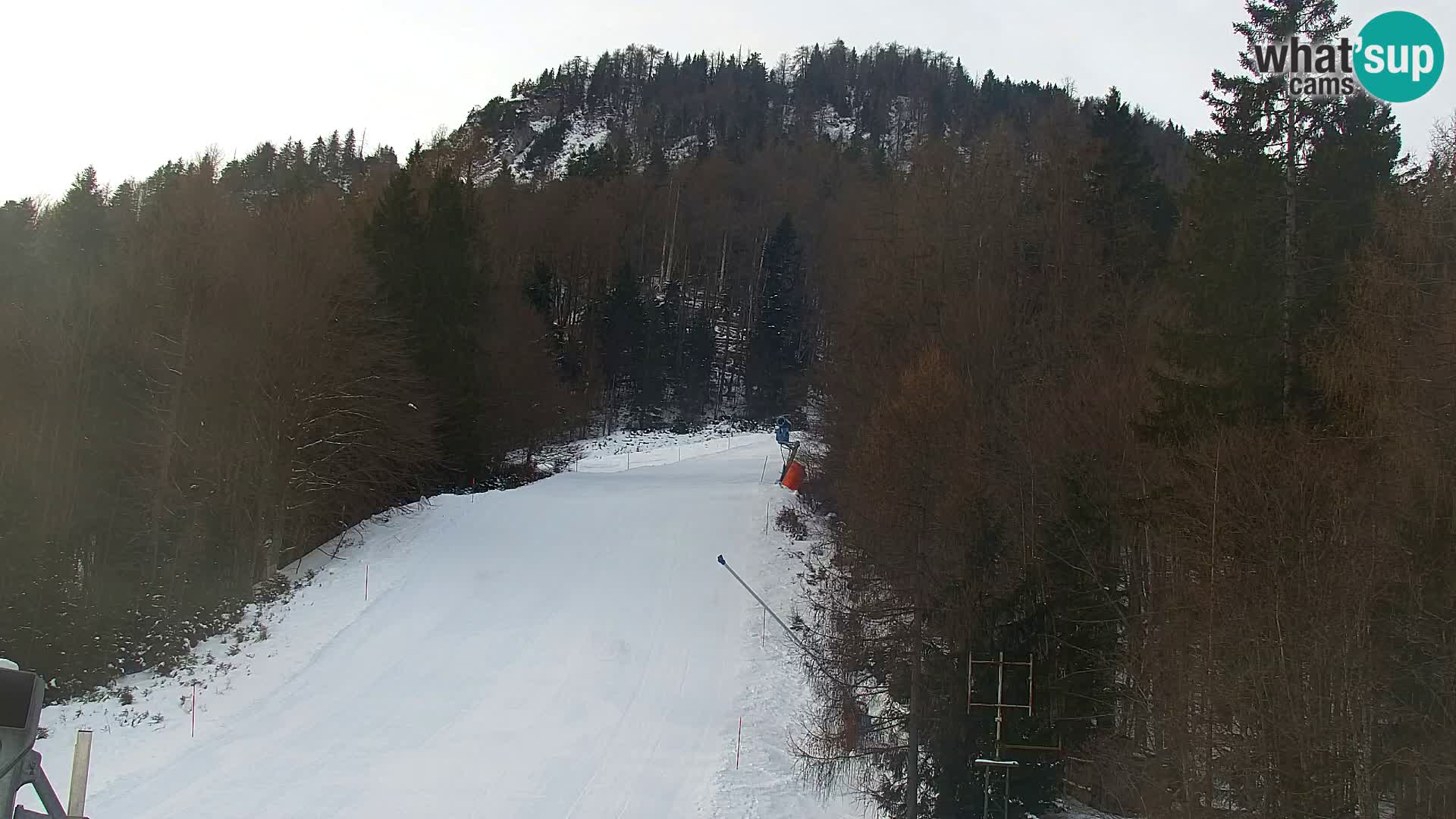 Kranjska Gora web kamera Vitranc | VITRANC 1 gornja postaja