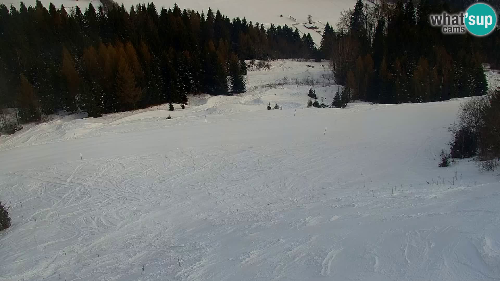 Estación de esquí Kranjska Gora | Estación superior VITRANC 1