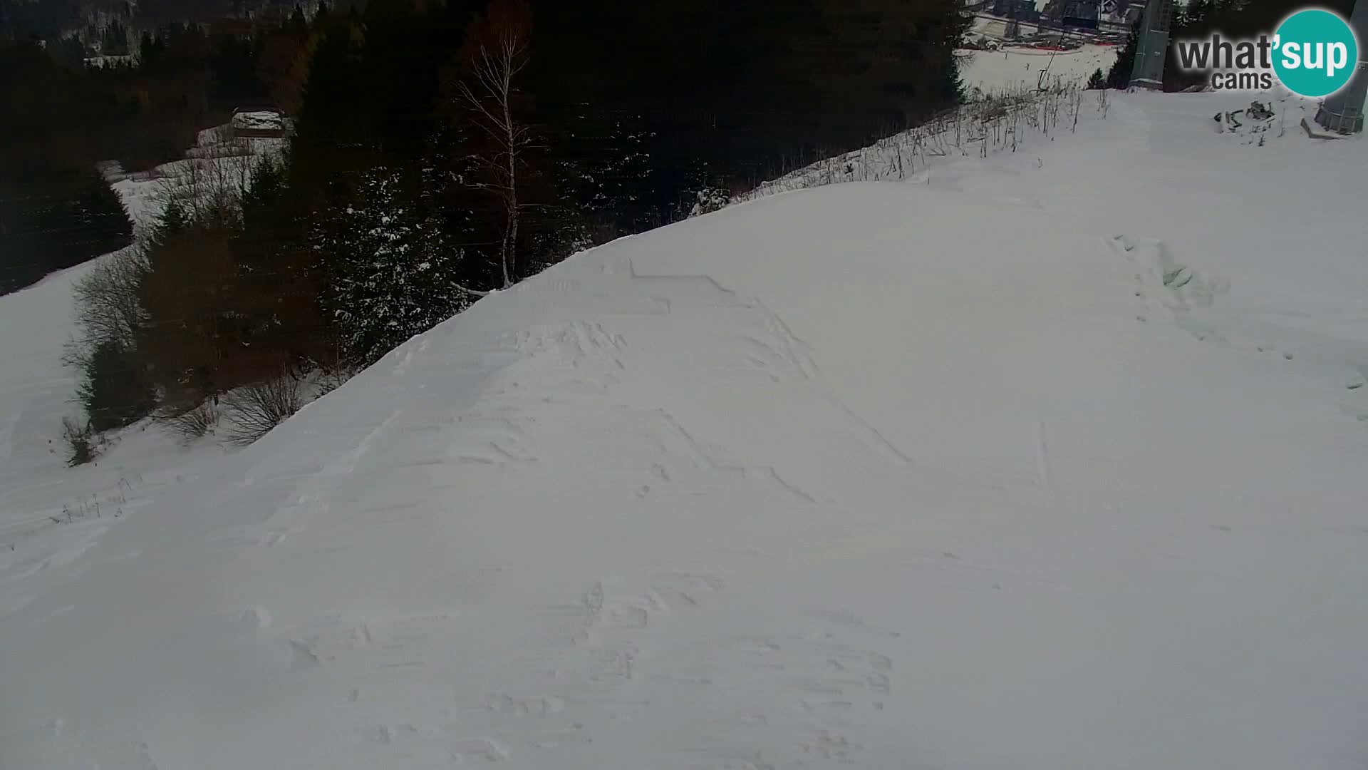 Vitranc Kranjska Gora webcam | VITRANC 1 stazione superiore