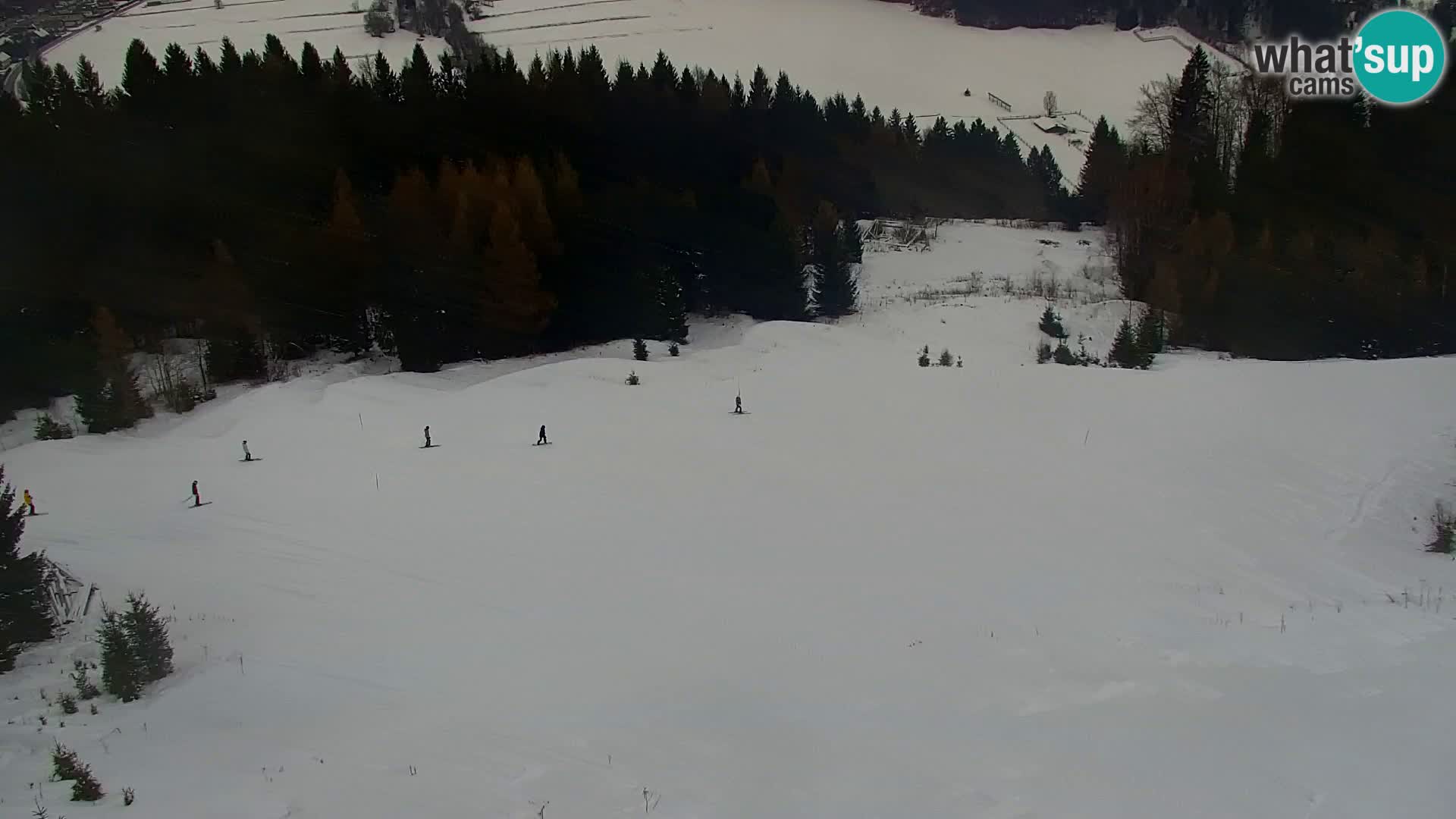 Vitranc Kranjska Gora webcam | VITRANC 1 stazione superiore