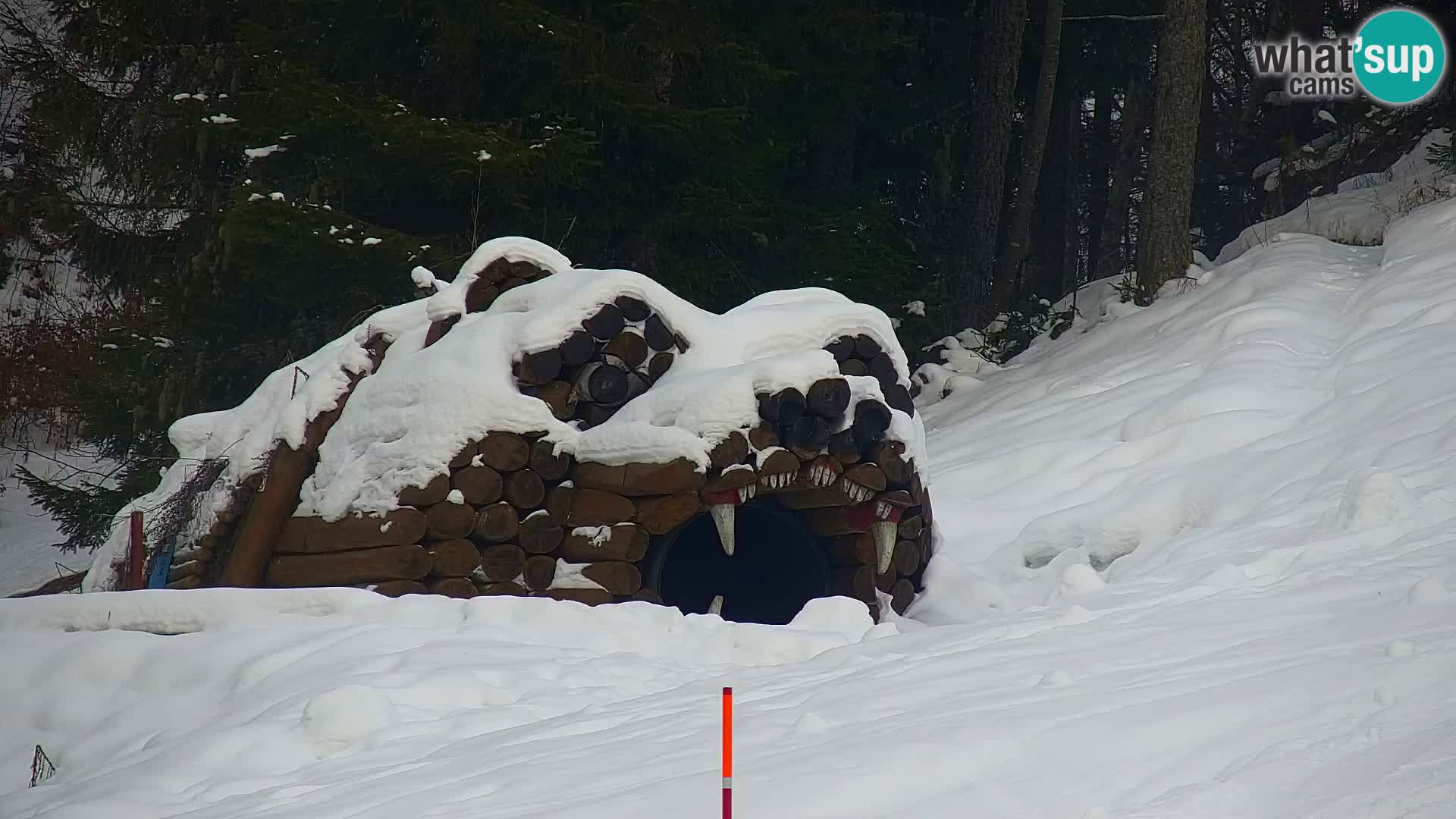 Vitranc Kranjska Gora webcam | VITRANC 1 stazione superiore