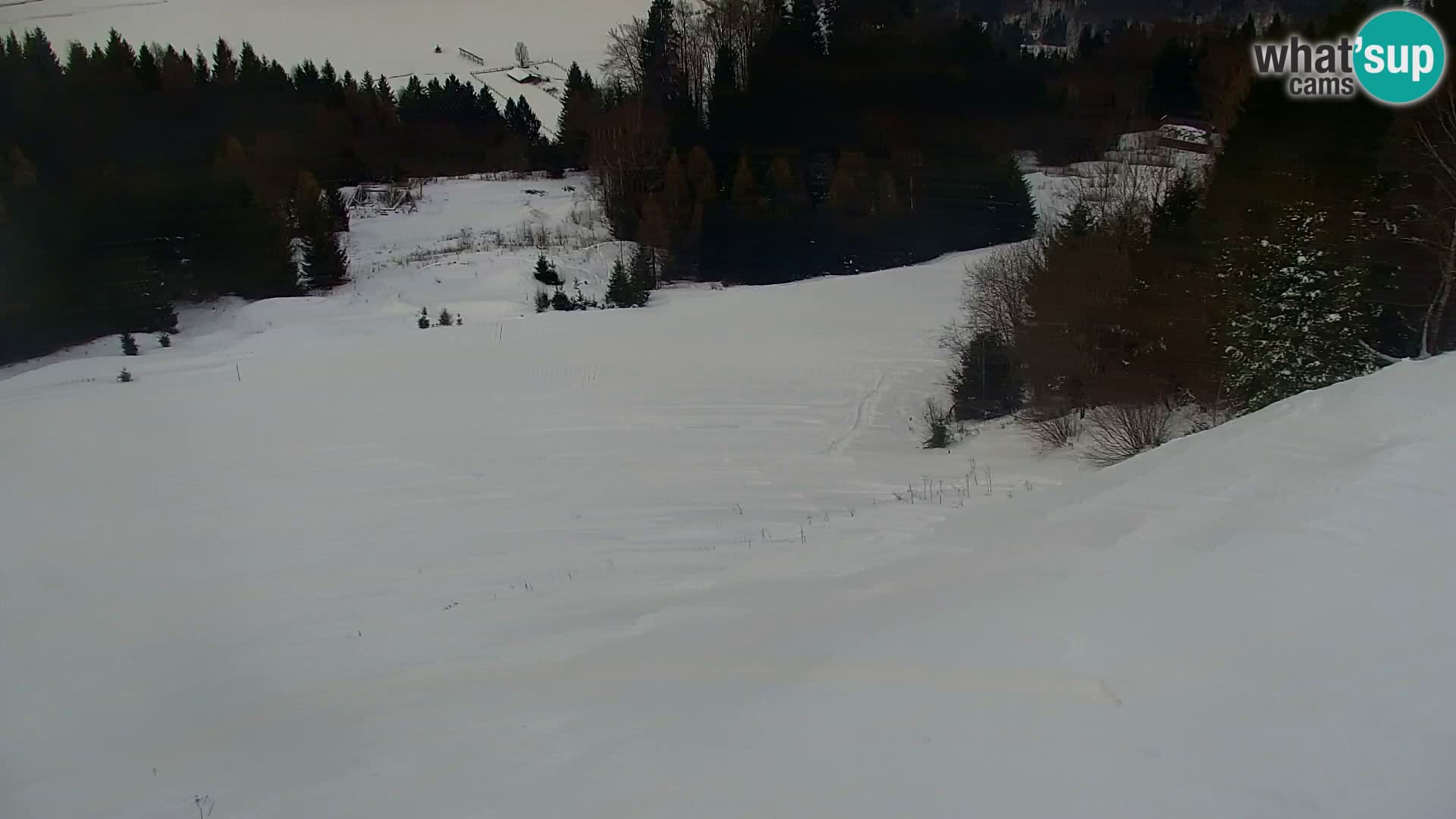 Kranjska Gora webcam VITRANC 1 | obere Station