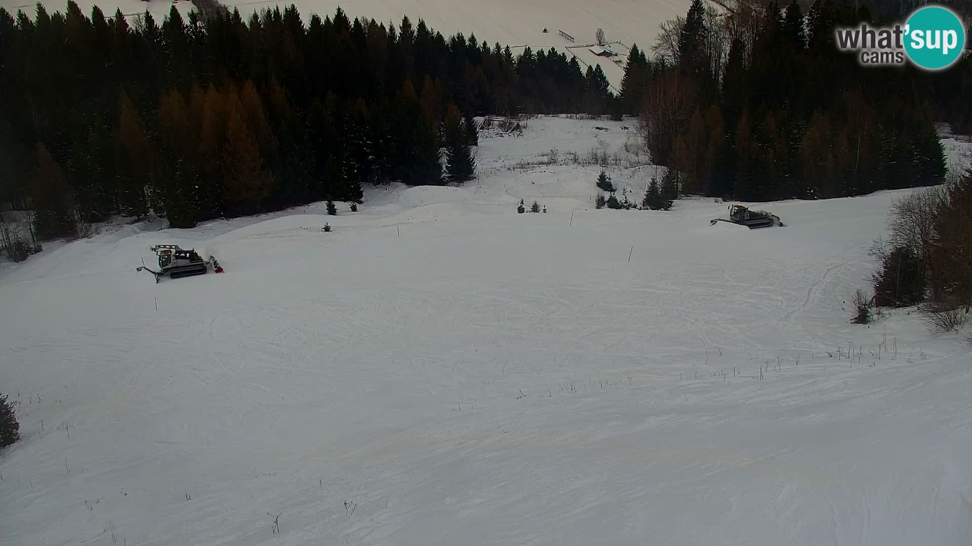 Kranjska Gora web kamera Vitranc | VITRANC 1 gornja postaja