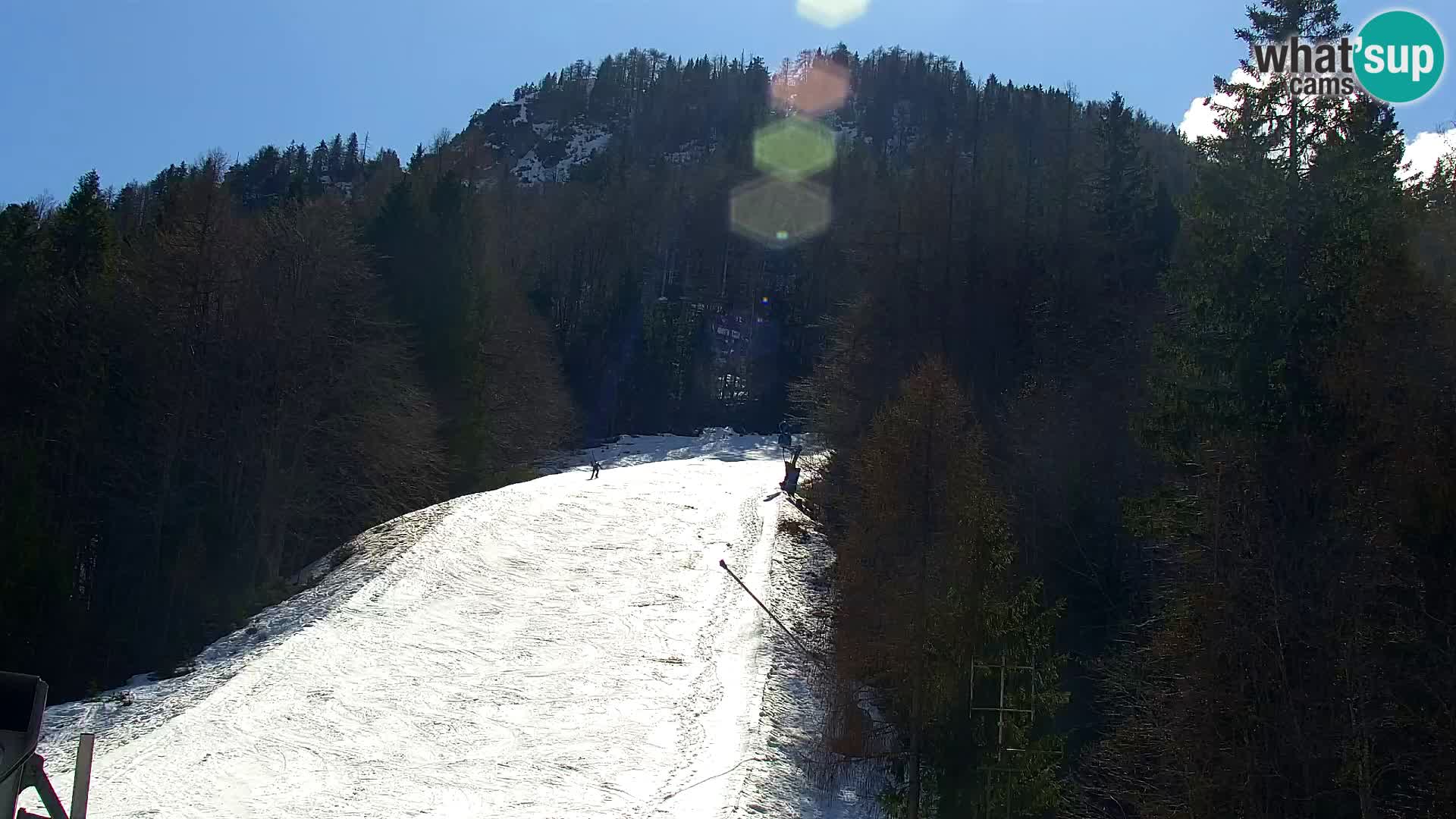 Kranjska Gora livecam VITRANC 1 | estación superior