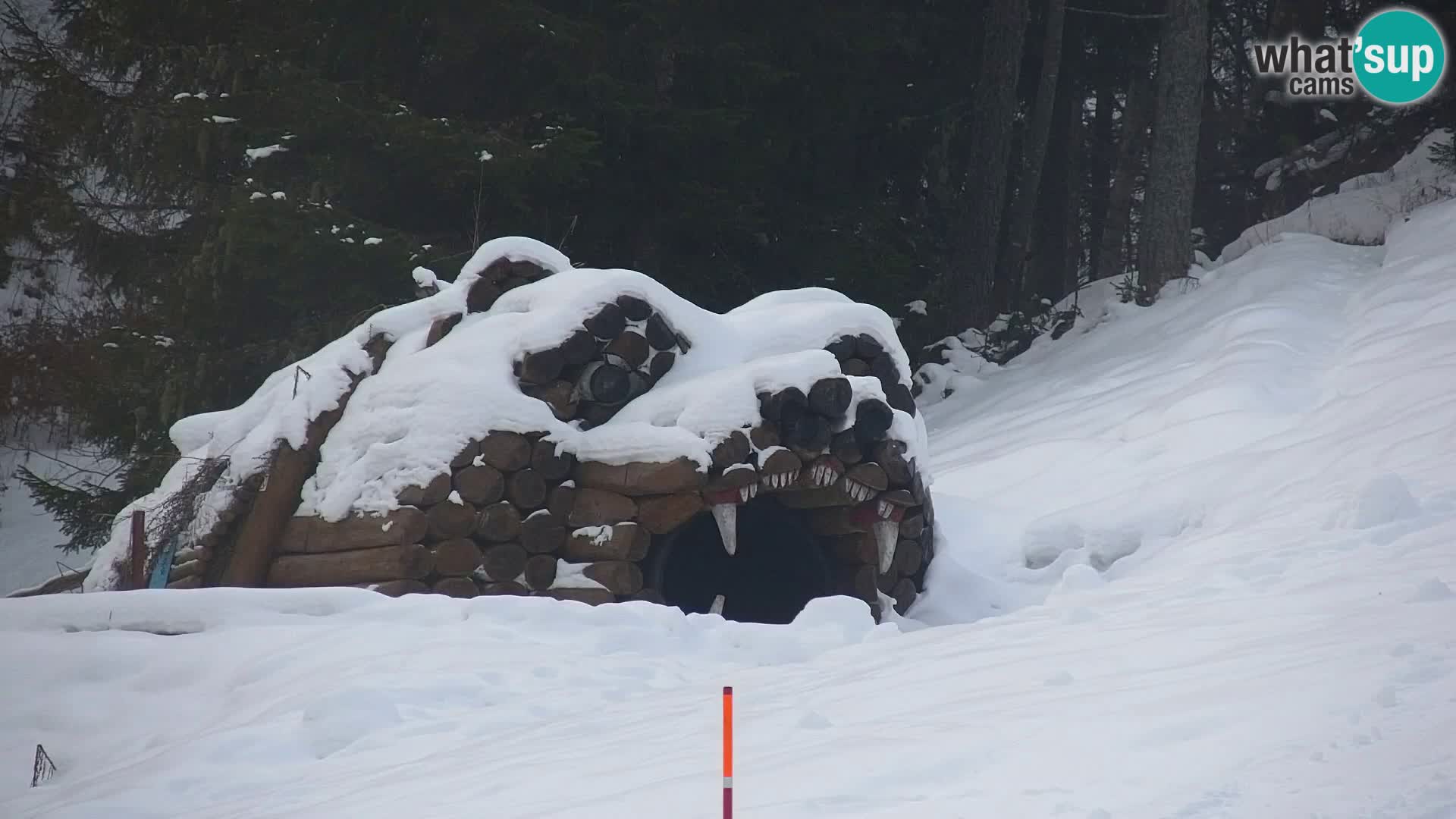 Estación de esquí Kranjska Gora | Estación superior VITRANC 1