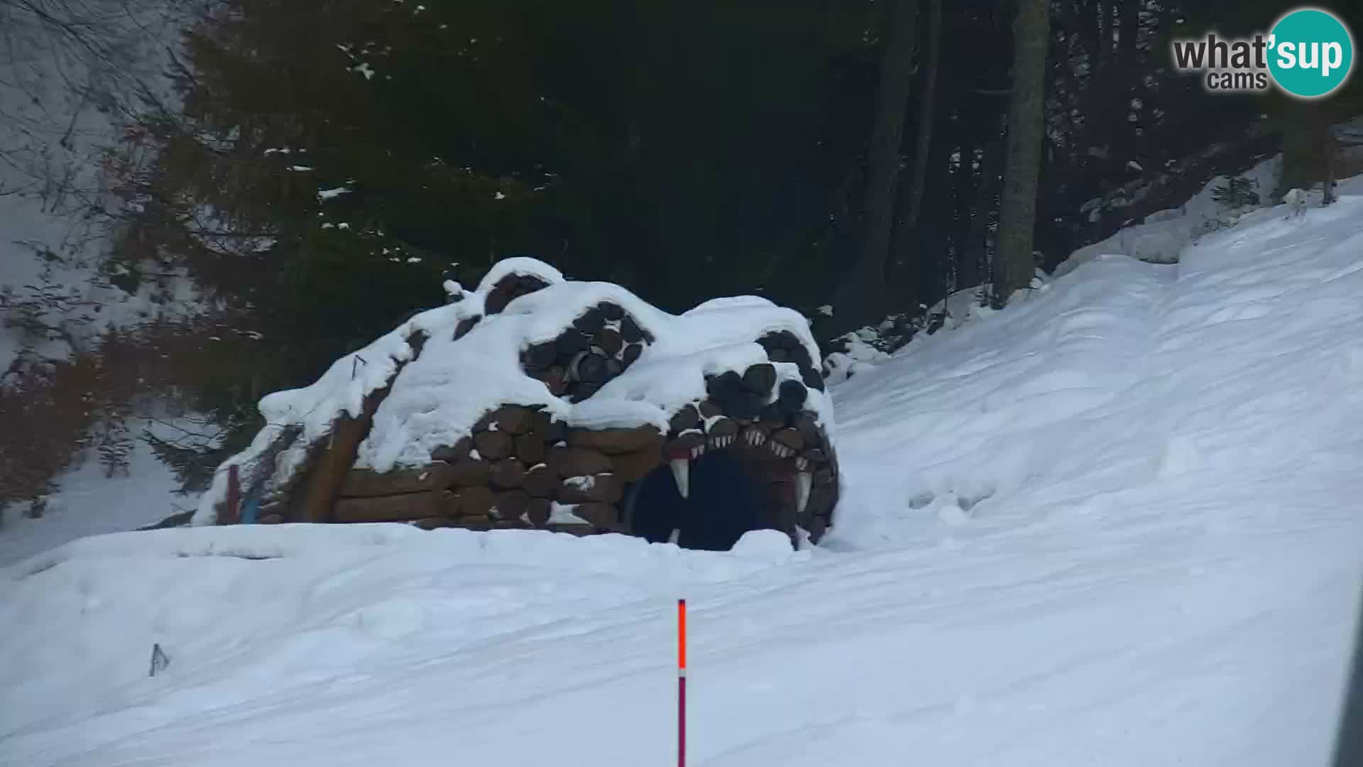 Kranjska Gora web kamera Vitranc | VITRANC 1 gornja postaja