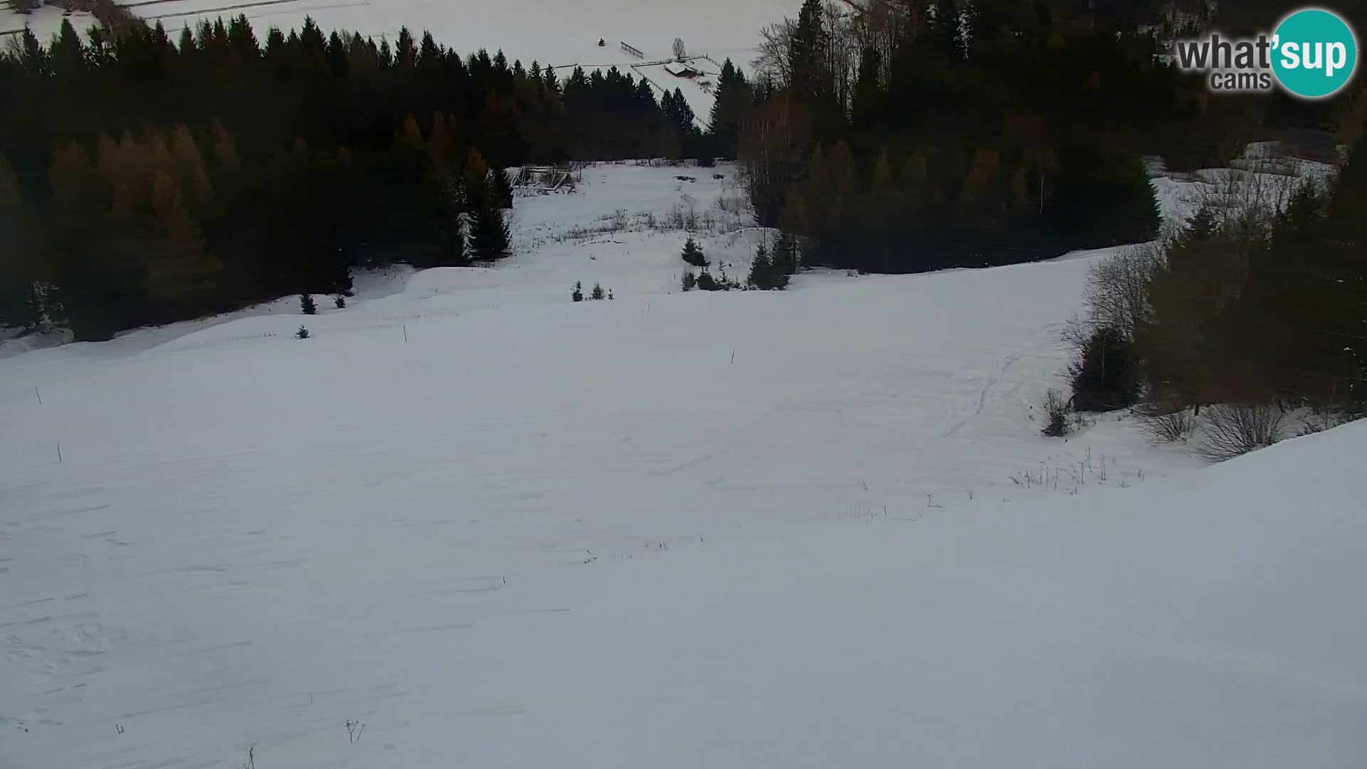 Estación de esquí Kranjska Gora | Estación superior VITRANC 1