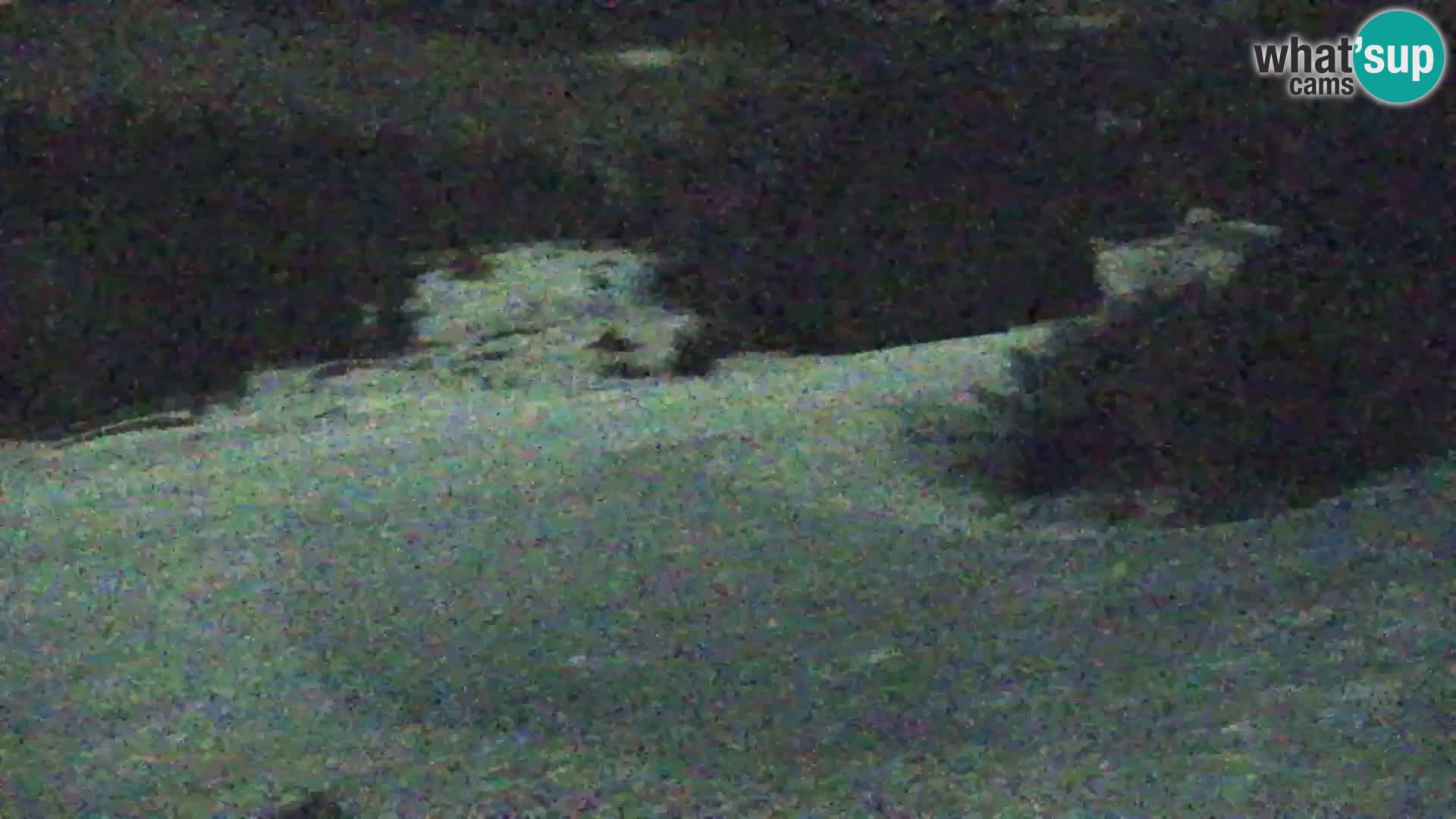 Vitranc Kranjska Gora webcam | VITRANC 1 stazione superiore