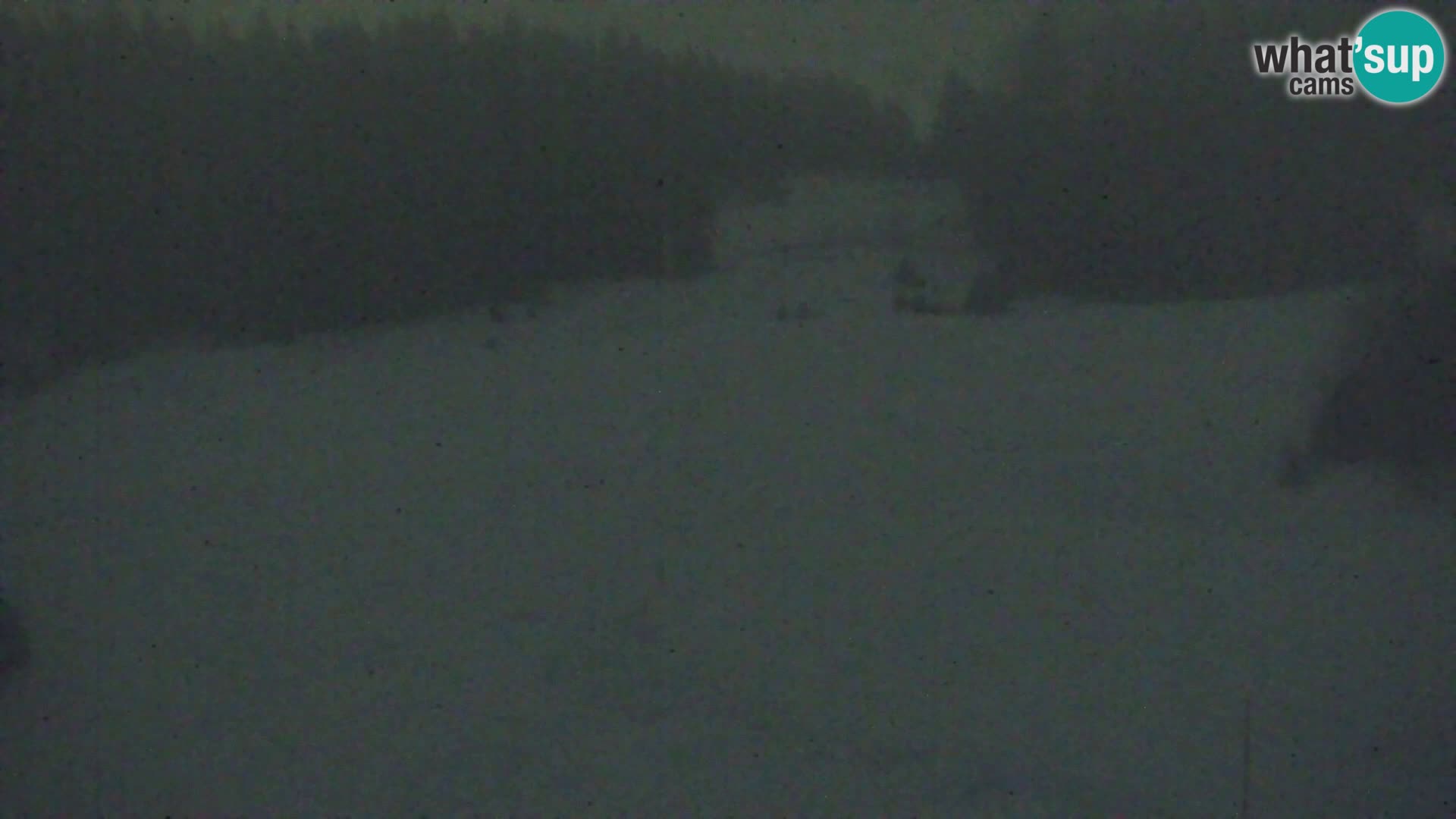 Vitranc Kranjska Gora webcam | VITRANC 1 stazione superiore