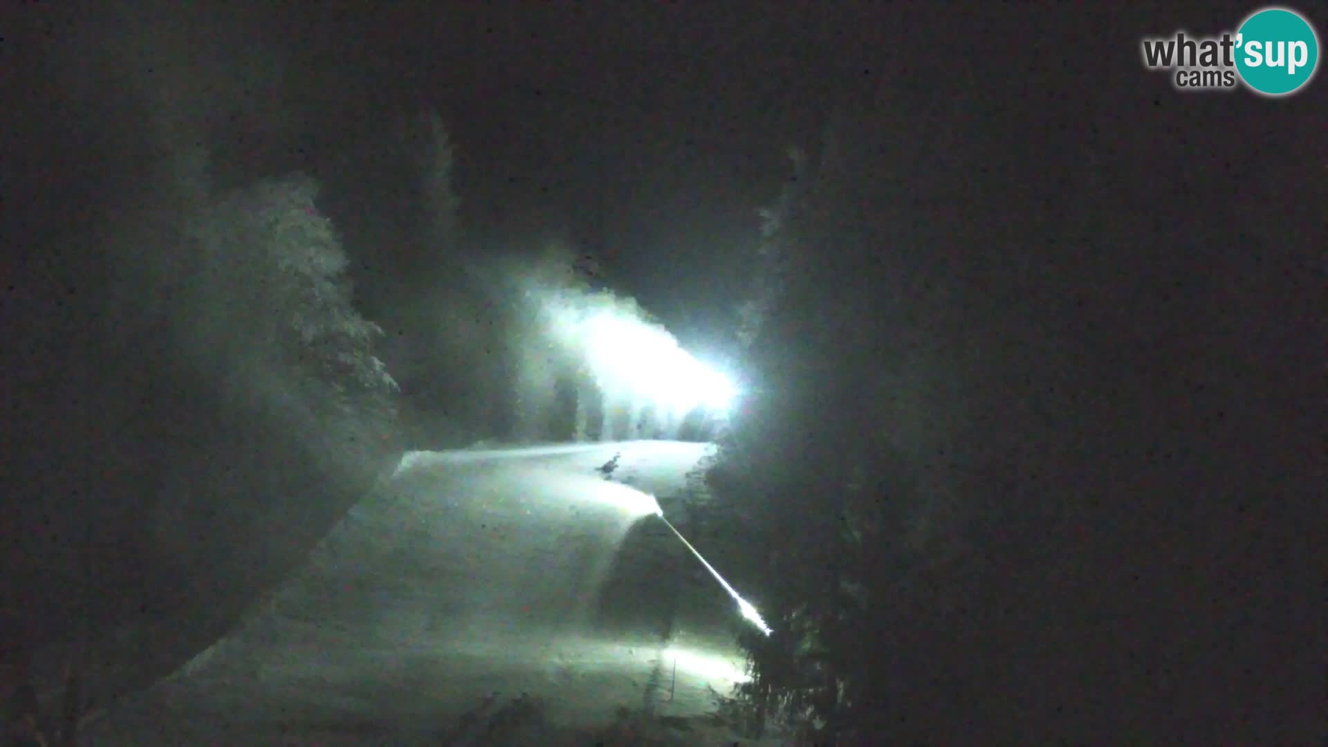 Kranjska Gora webcam VITRANC 1 | obere Station