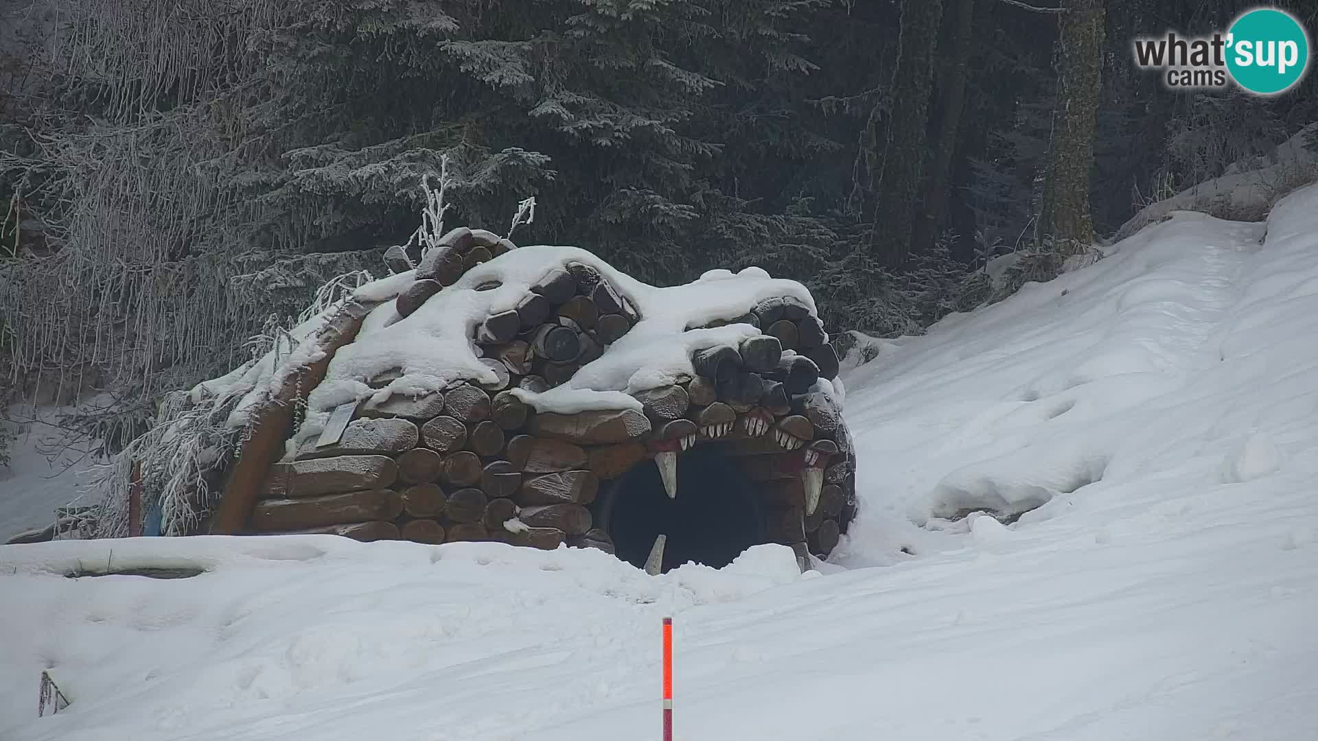 Vitranc Kranjska Gora webcam | VITRANC 1 stazione superiore