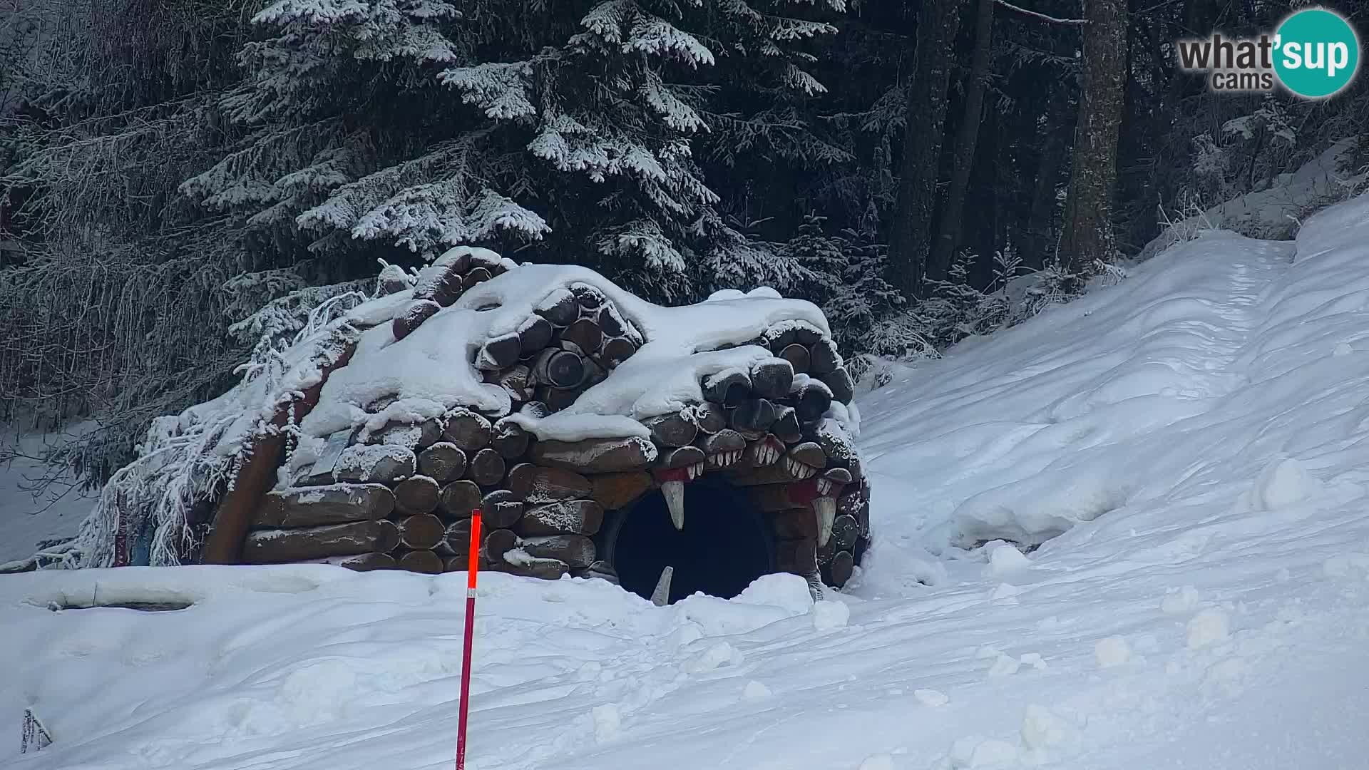 Ski Resort Kranjska Gora | VITRANC 1 upper station