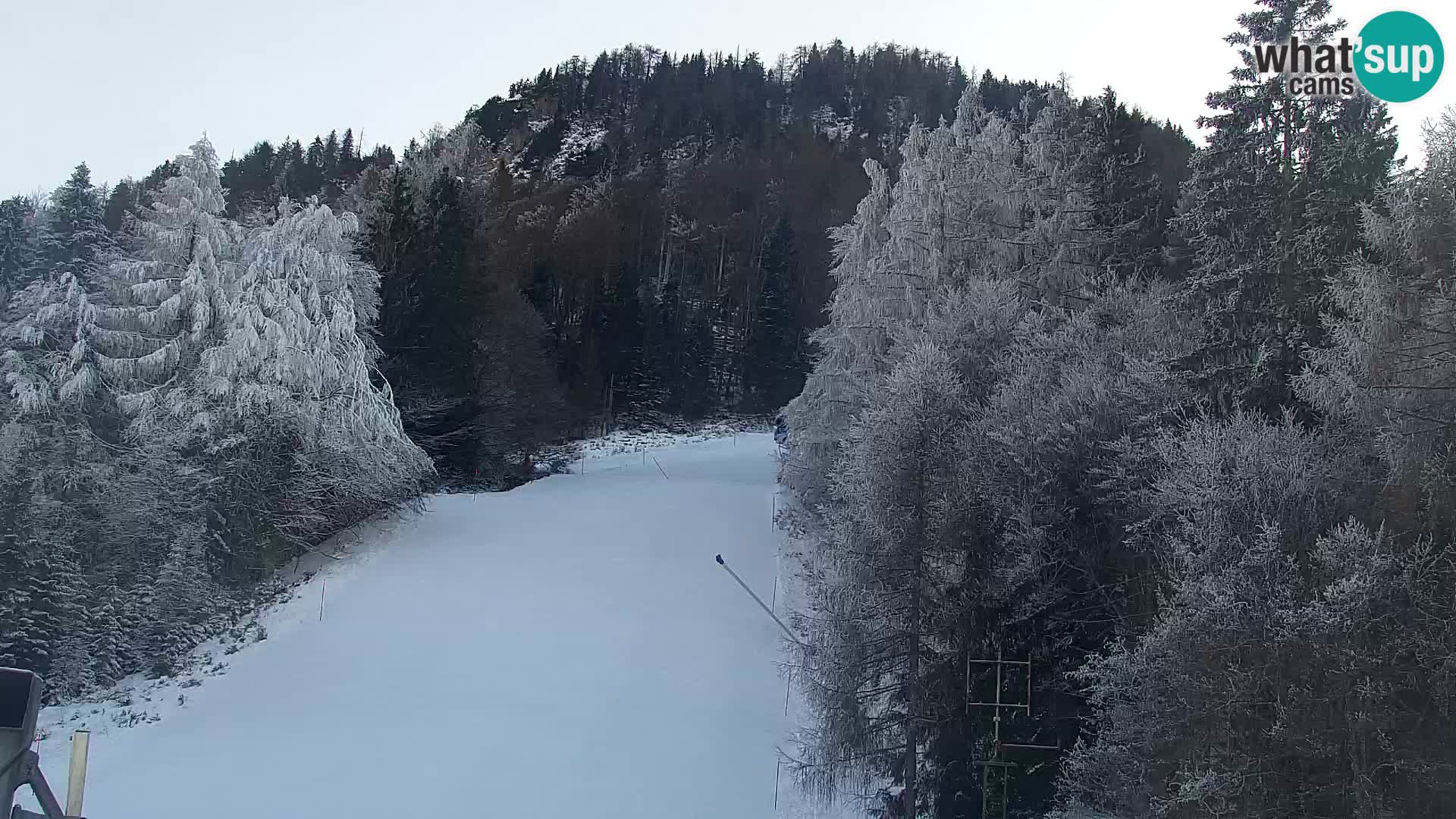 Estación de esquí Kranjska Gora | Estación superior VITRANC 1