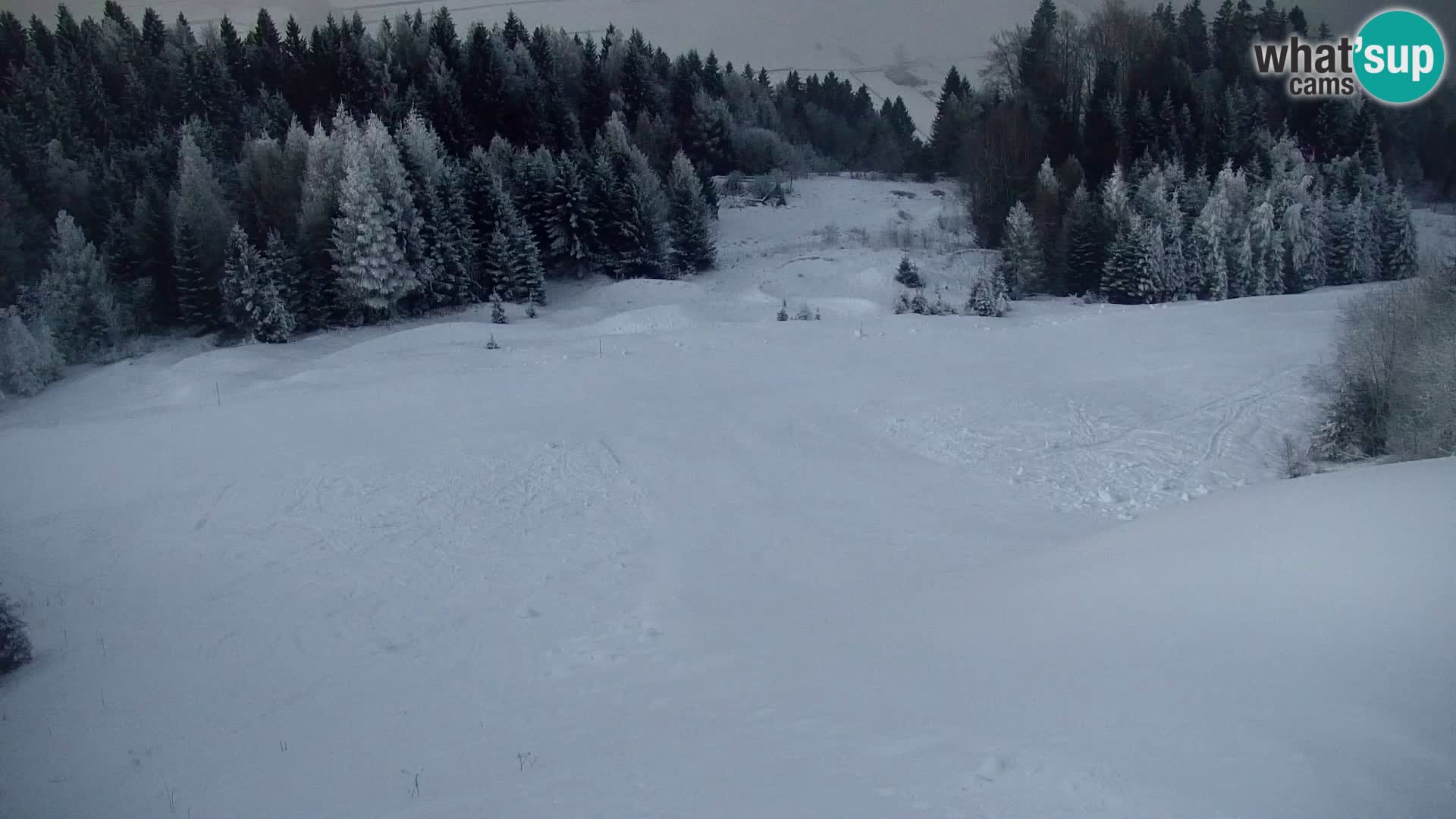 Kranjska Gora kamera VITRANC 1 | Zgornja postaja