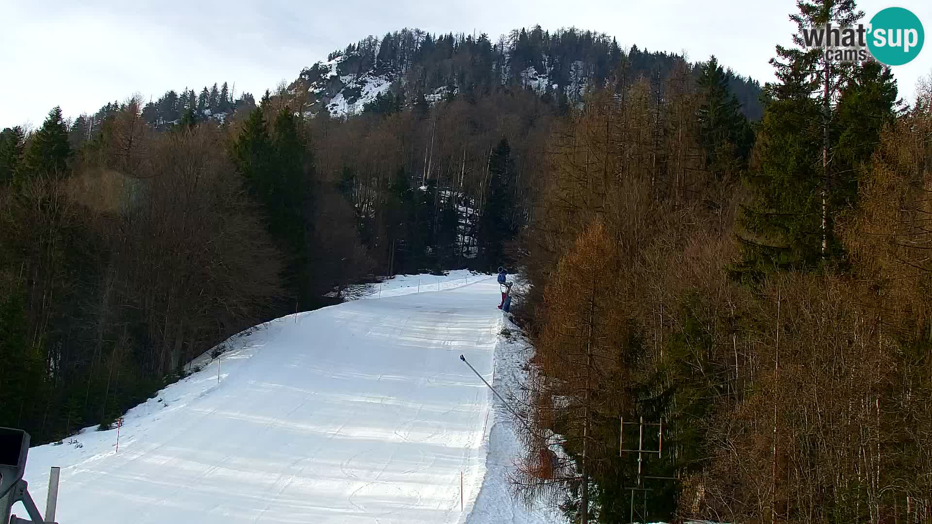 Kranjska Gora kamera VITRANC 1 | Zgornja postaja