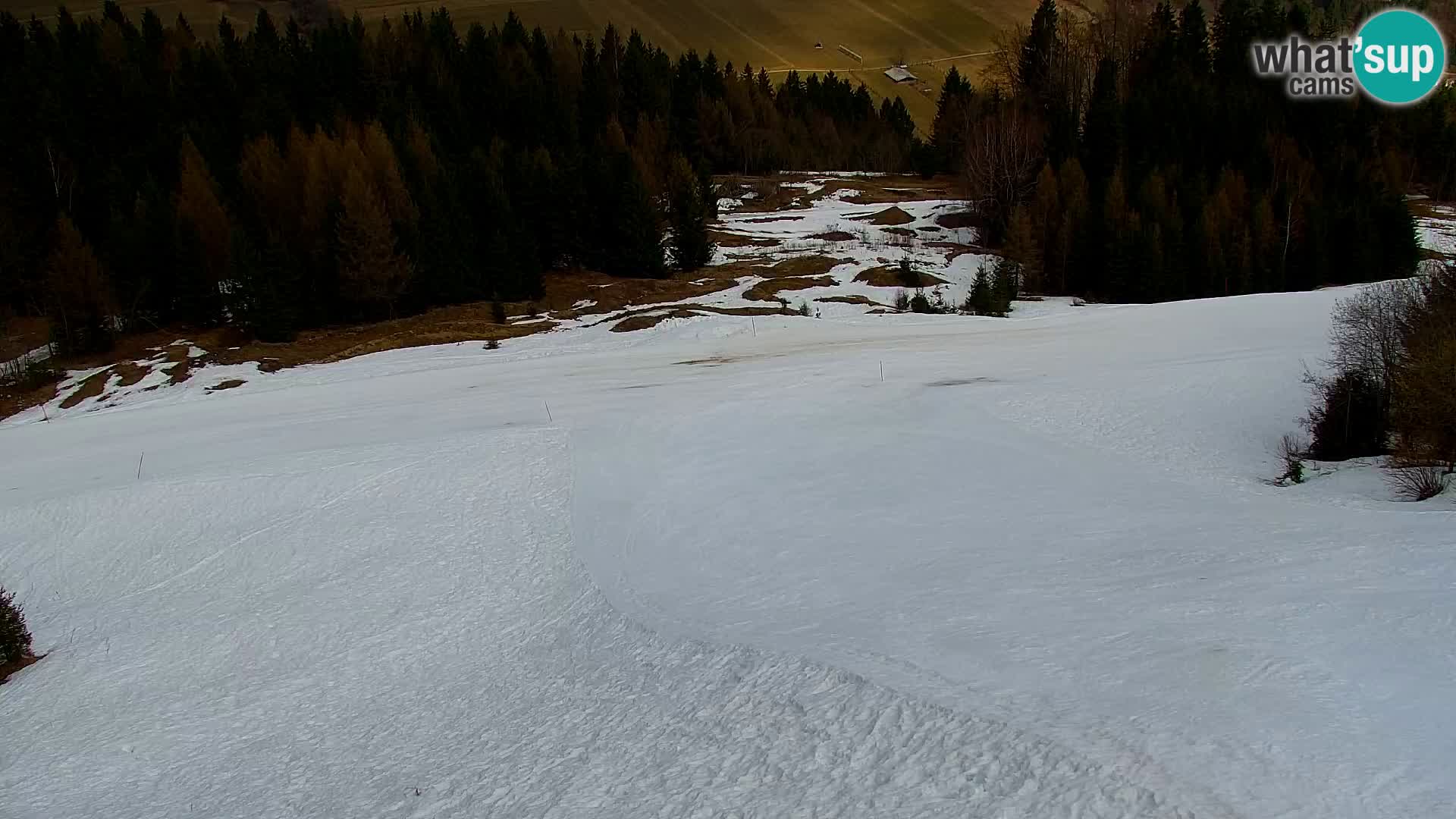 Vitranc Kranjska Gora webcam | VITRANC 1 stazione superiore