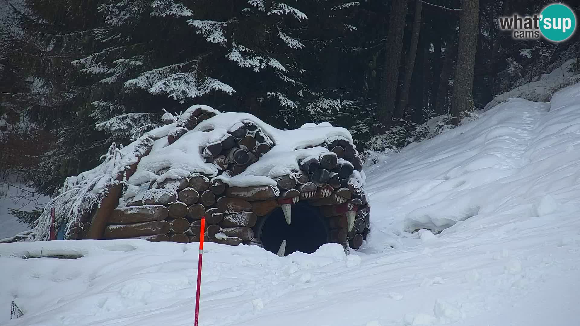 Kranjska Gora kamera VITRANC 1 | Zgornja postaja