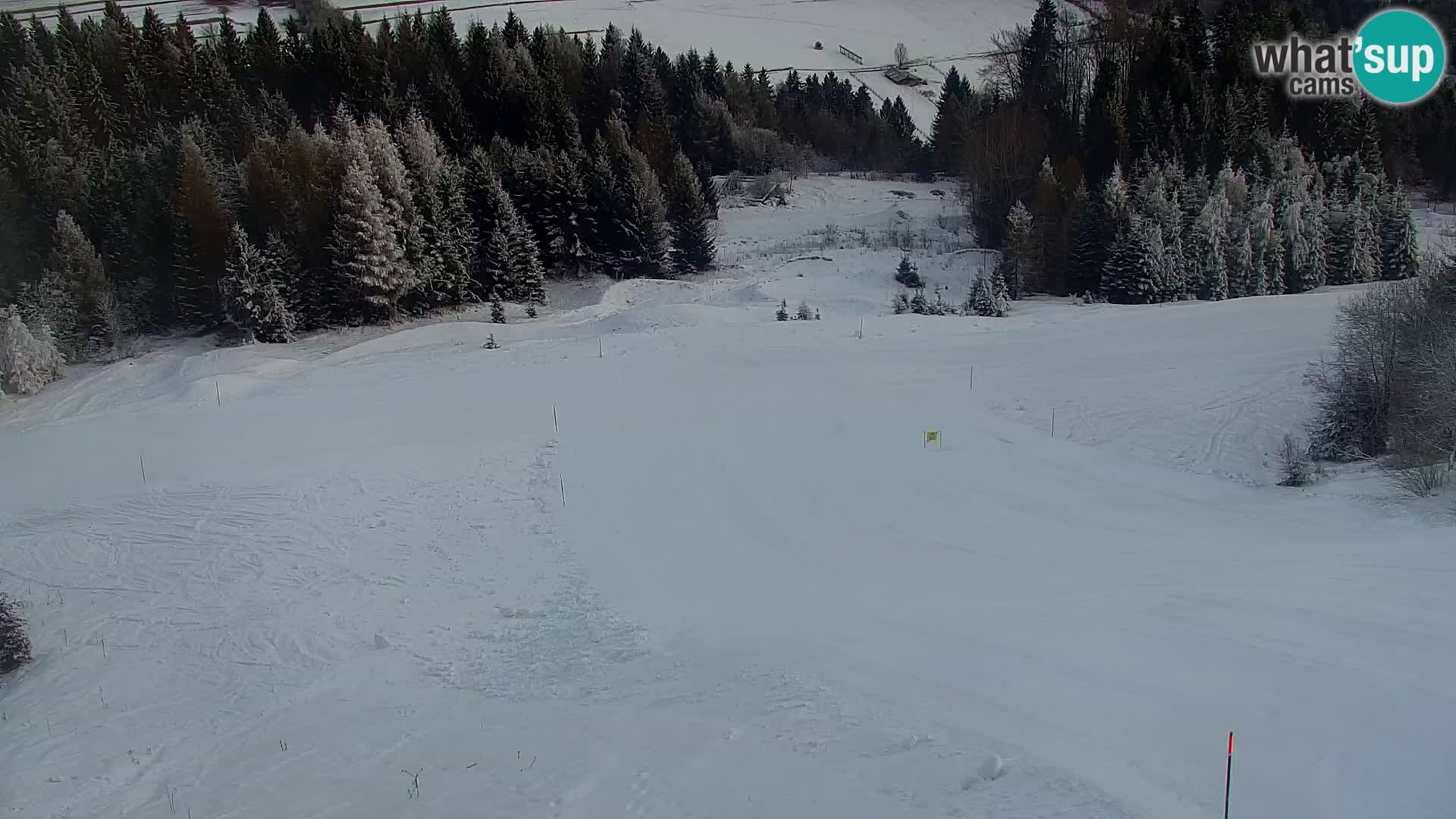 Kranjska Gora livecam VITRANC 1 | estación superior