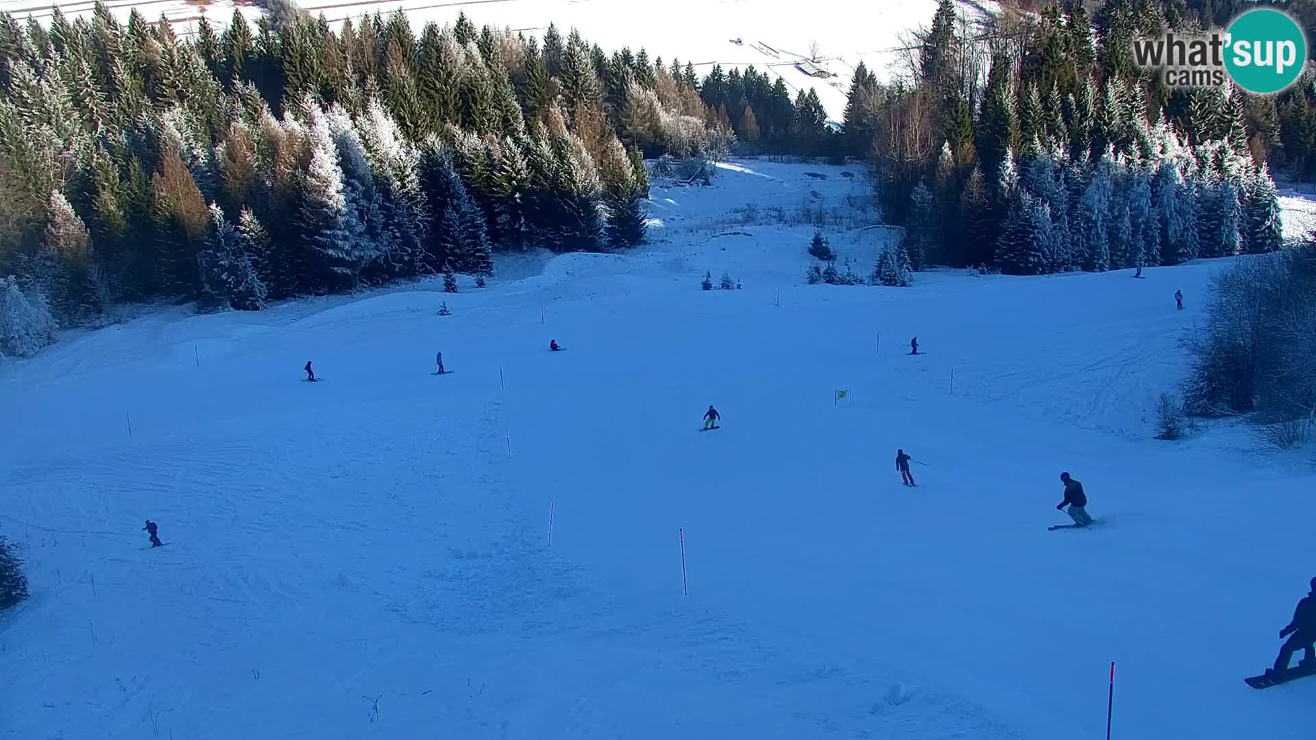 Kranjska Gora web kamera Vitranc | VITRANC 1 gornja postaja