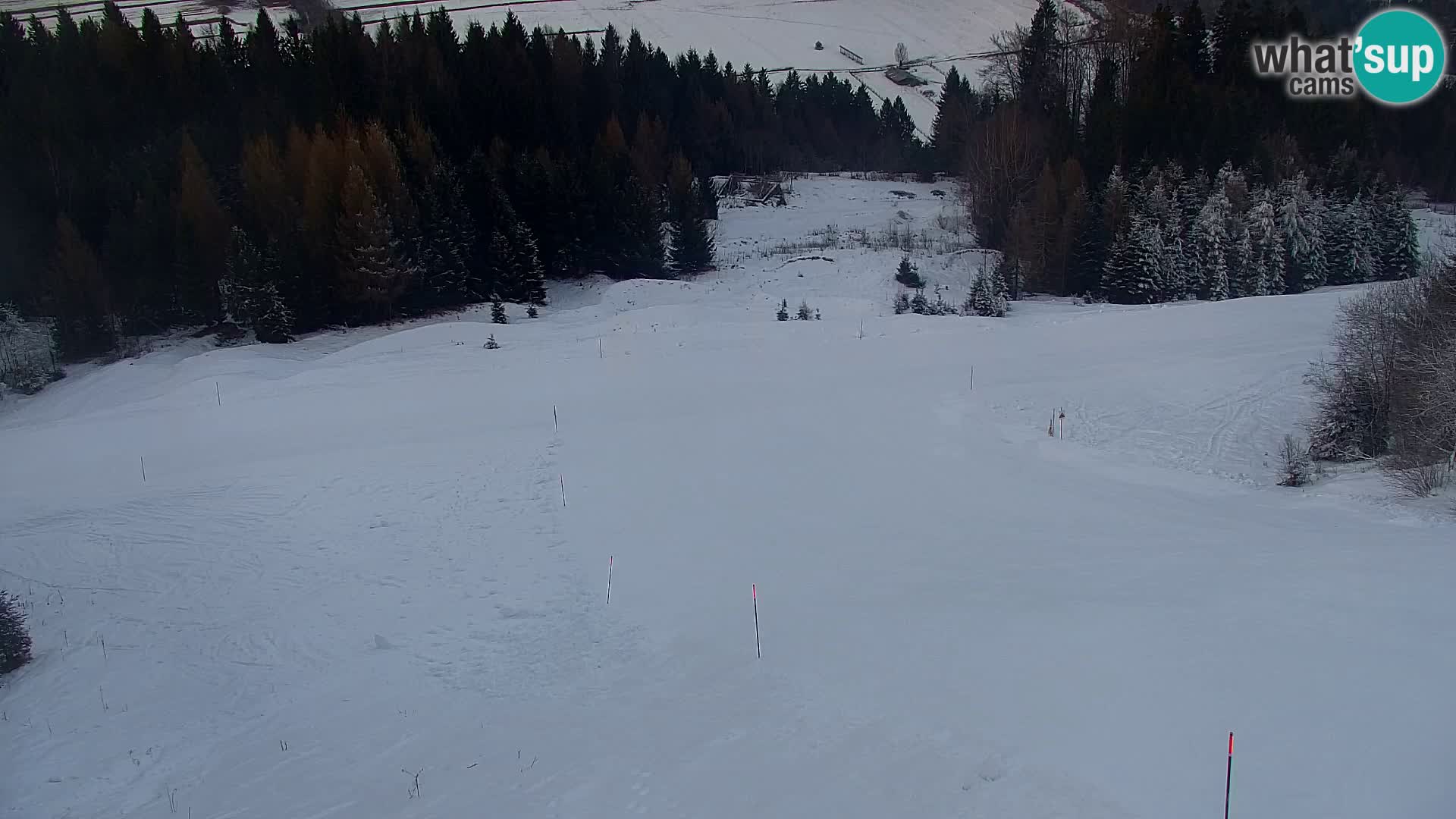 Kranjska Gora livecam VITRANC 1 | estación superior