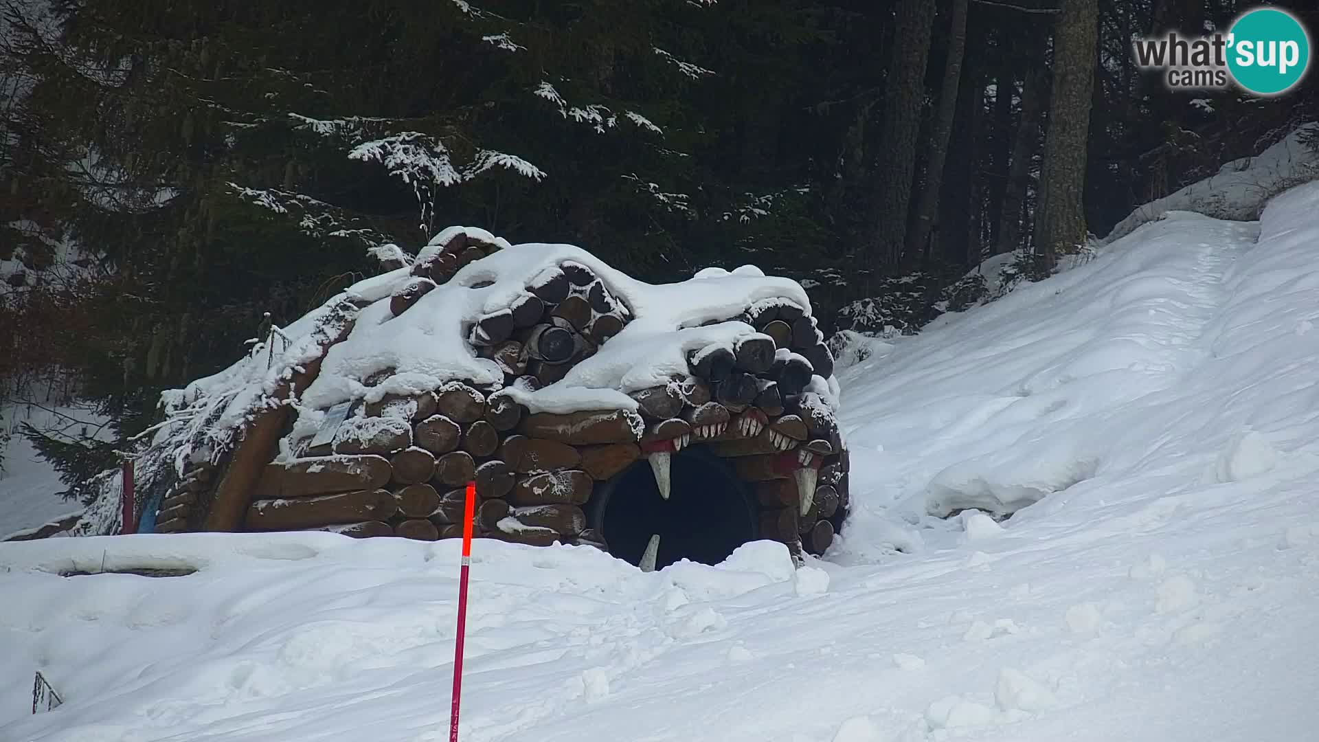 Kranjska Gora kamera VITRANC 1 | Zgornja postaja