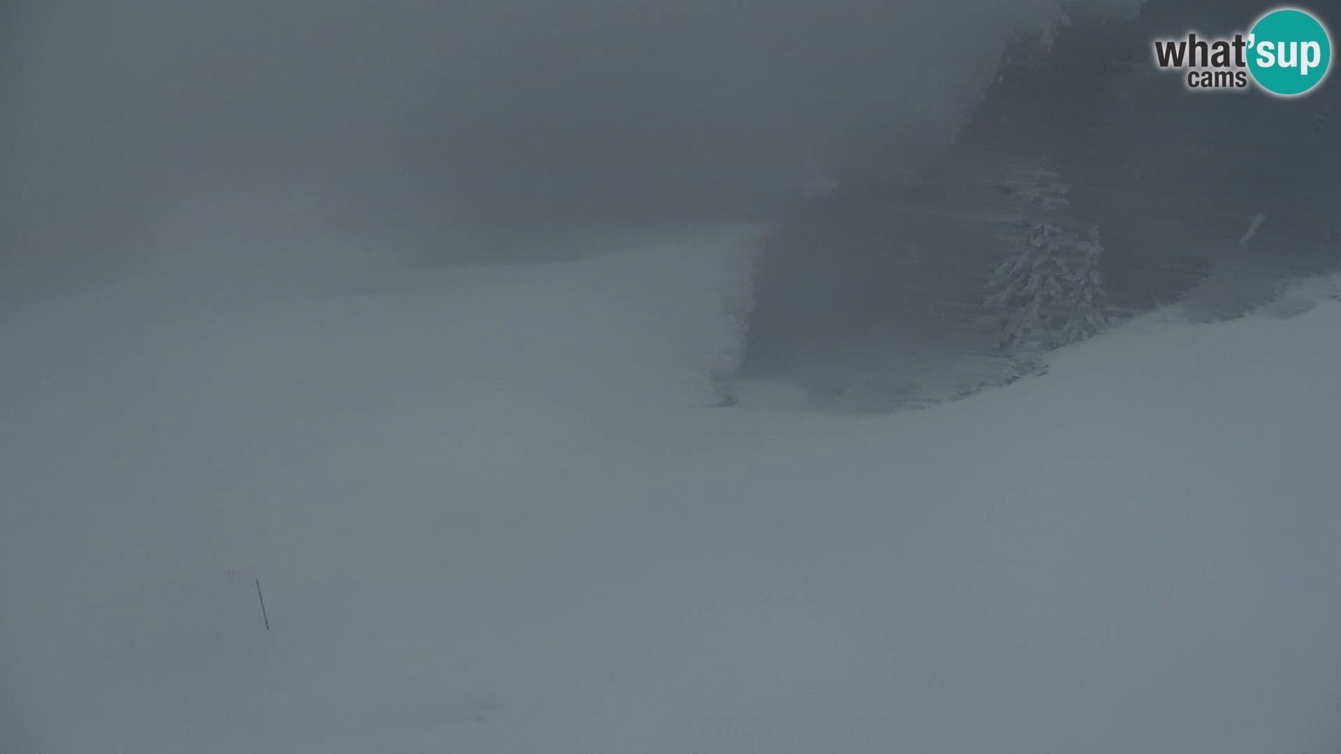 Kranjska Gora web kamera Vitranc | VITRANC 1 gornja postaja