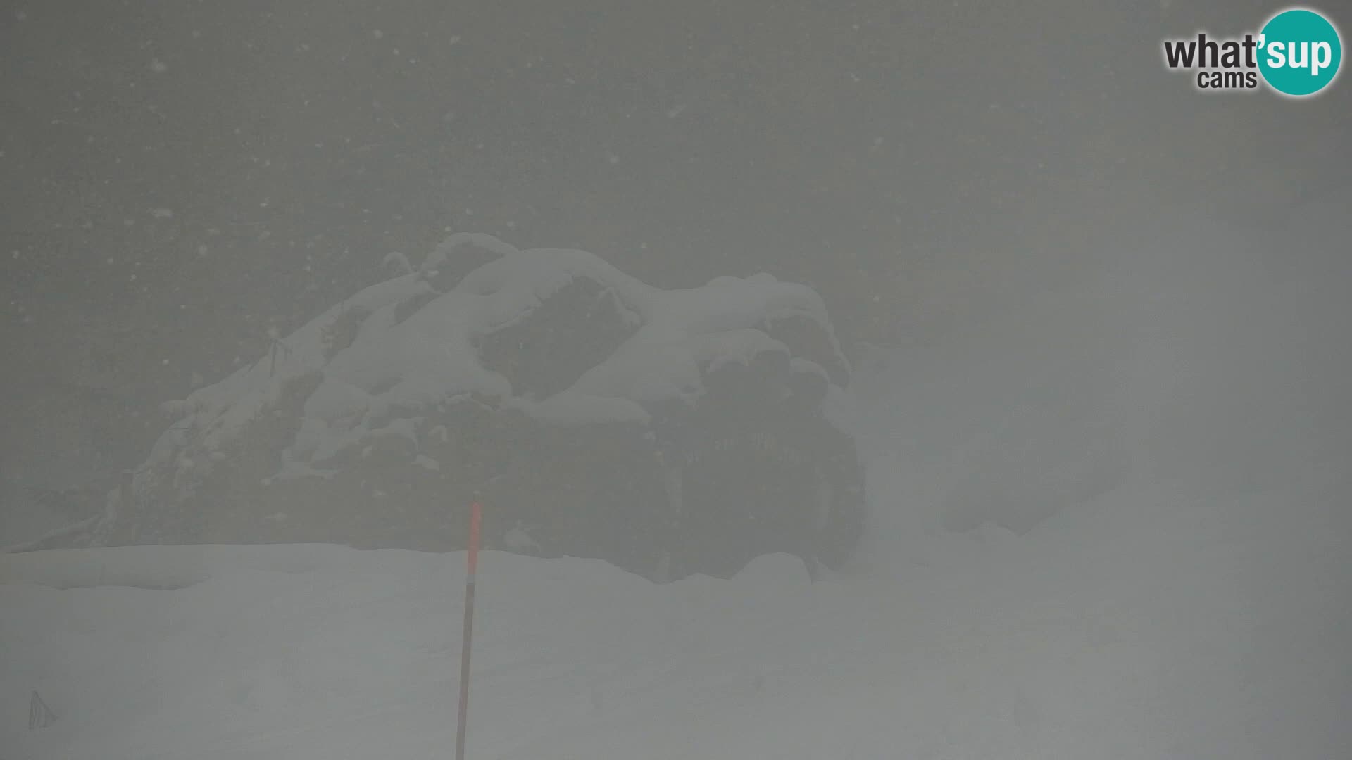 Vitranc Kranjska Gora webcam | VITRANC 1 stazione superiore