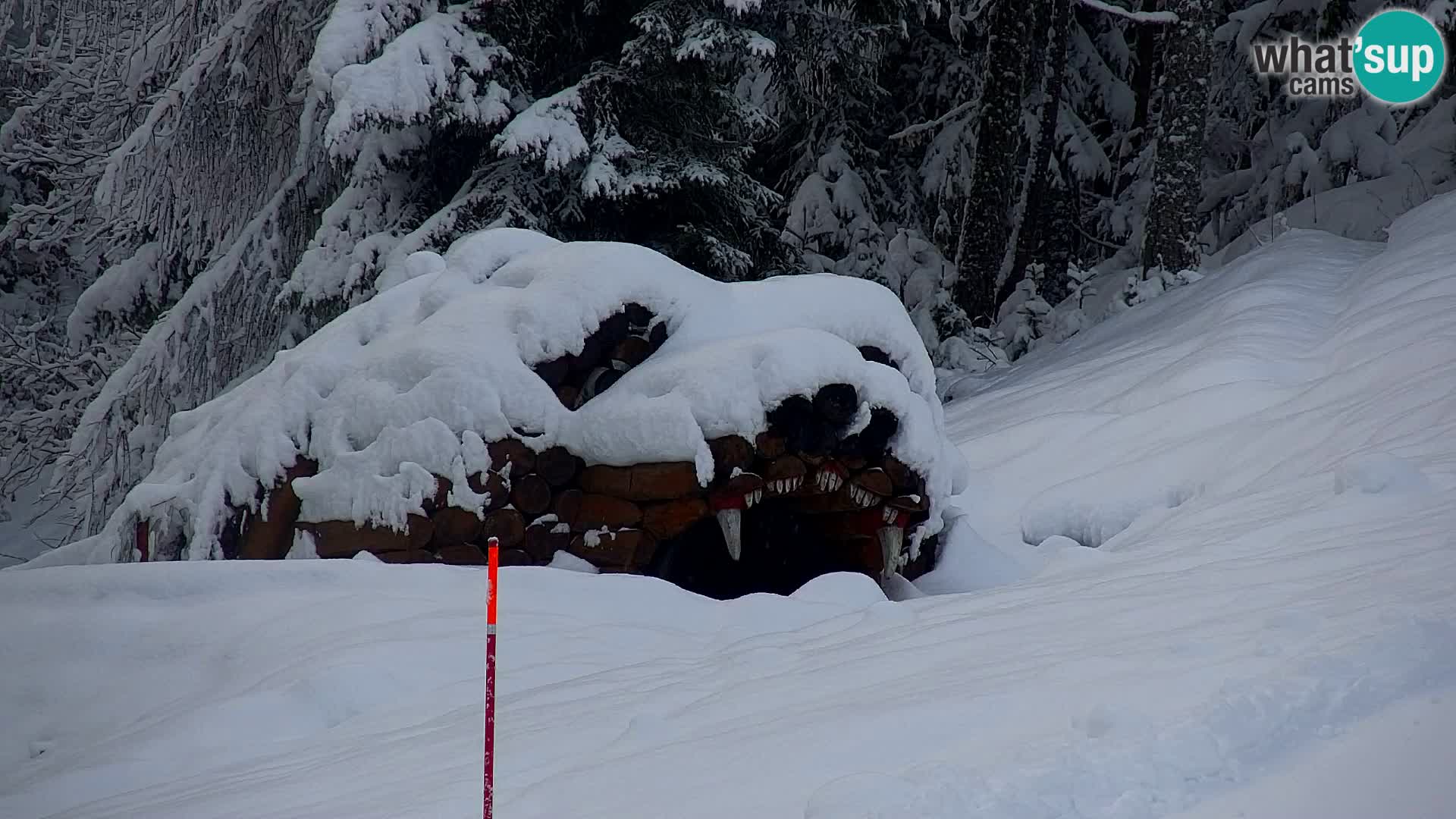 Kranjska Gora webcam VITRANC 1 | obere Station