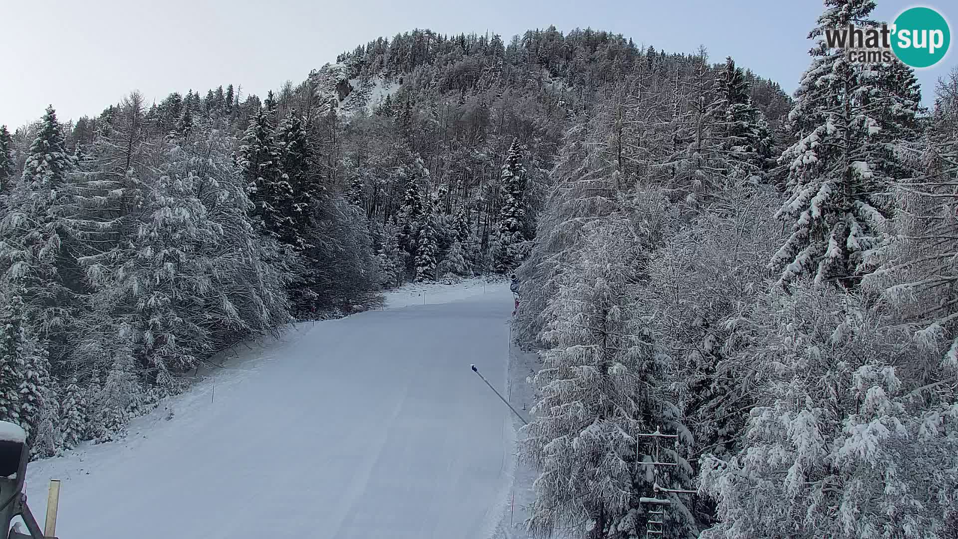 Ski Resort Kranjska Gora | VITRANC 1 upper station