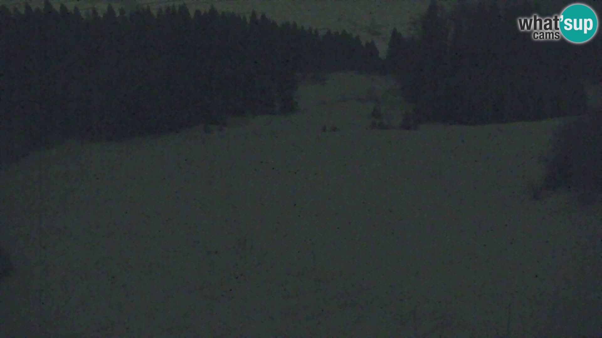 Vitranc Kranjska Gora webcam | VITRANC 1 stazione superiore