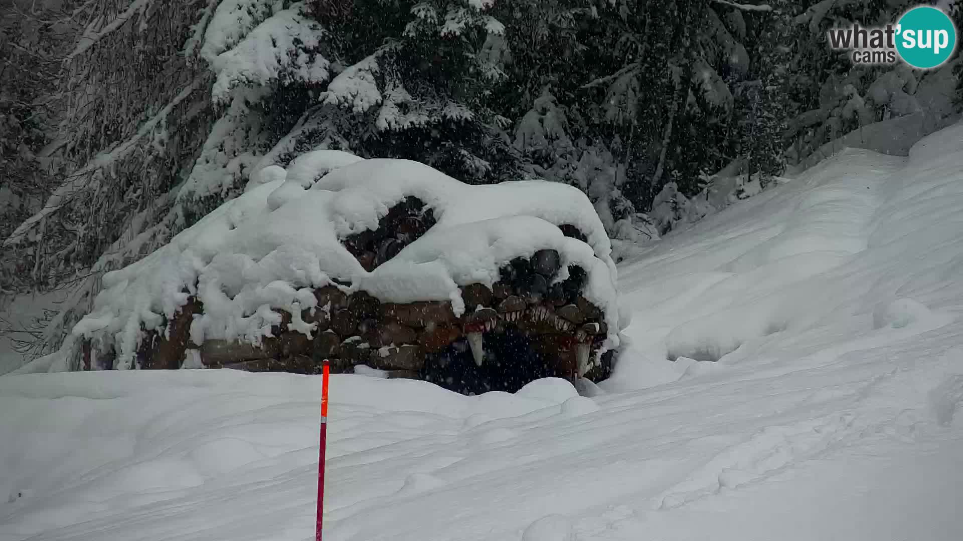 Ski Resort Kranjska Gora | VITRANC 1 upper station