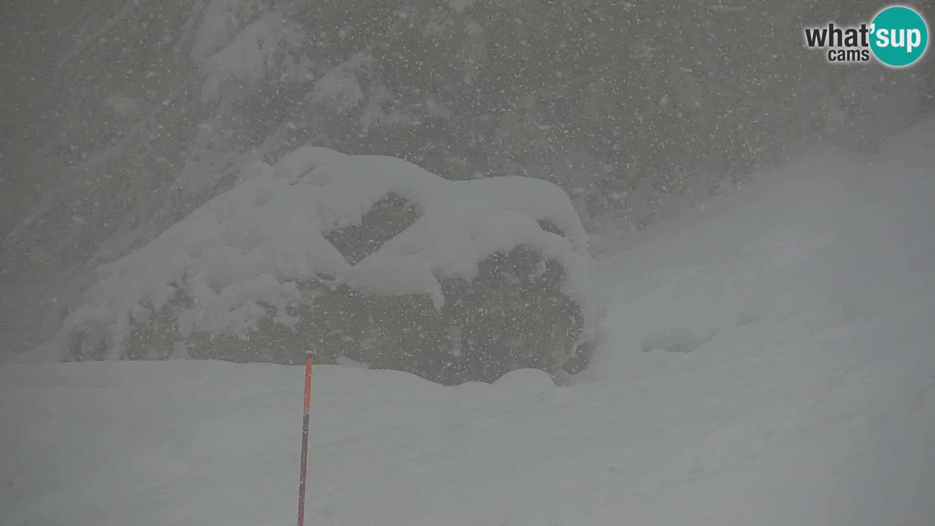 Kranjska Gora livecam VITRANC 1 | estación superior