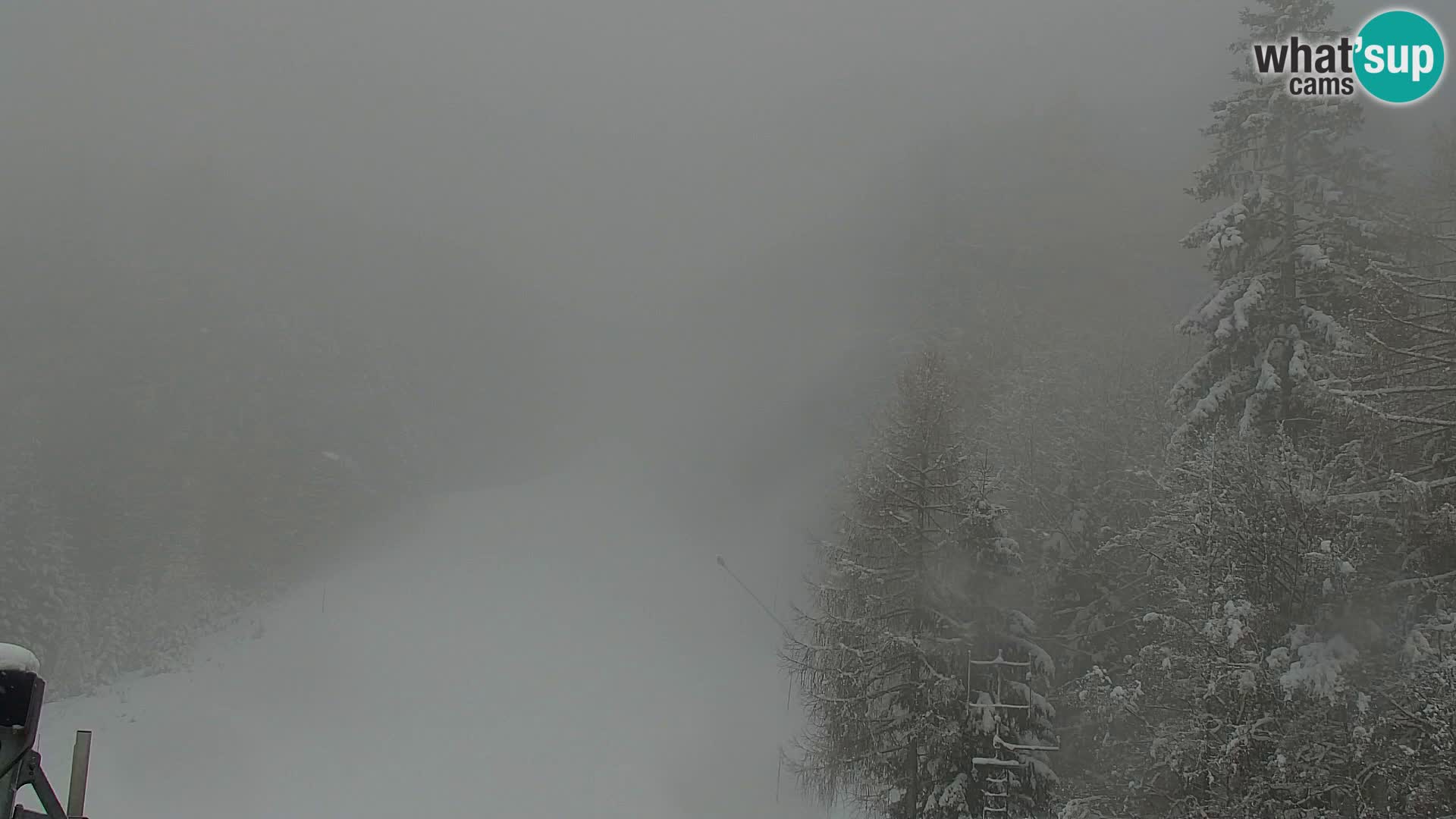 Vitranc Kranjska Gora webcam | VITRANC 1 stazione superiore