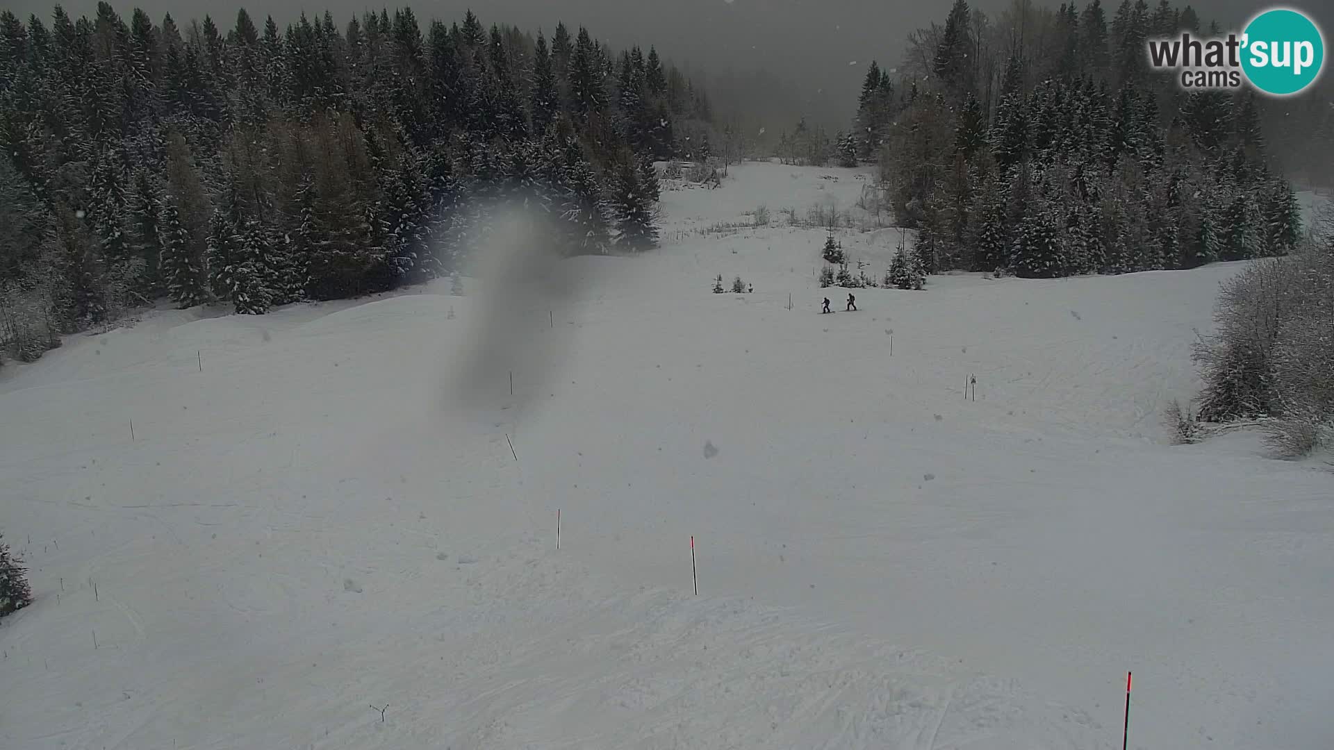 Kranjska Gora kamera VITRANC 1 | Zgornja postaja