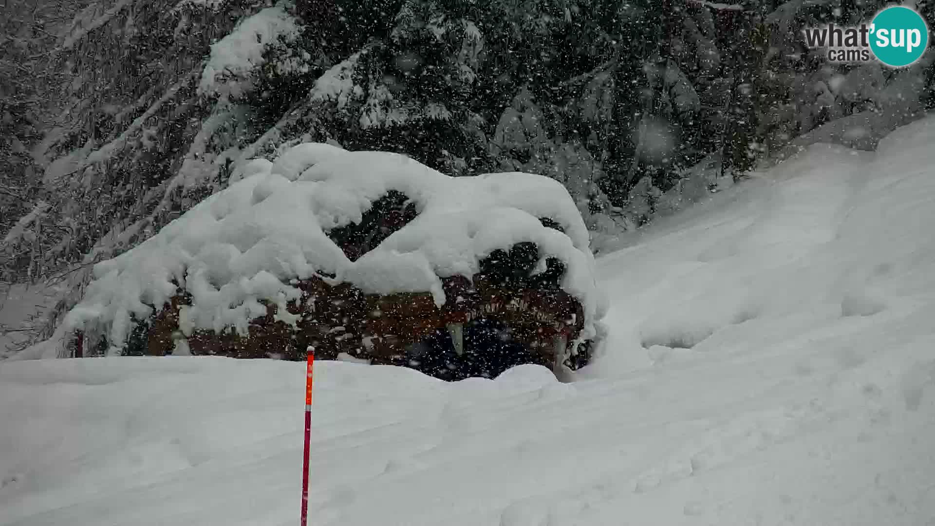 Kranjska Gora webcam VITRANC 1 | obere Station