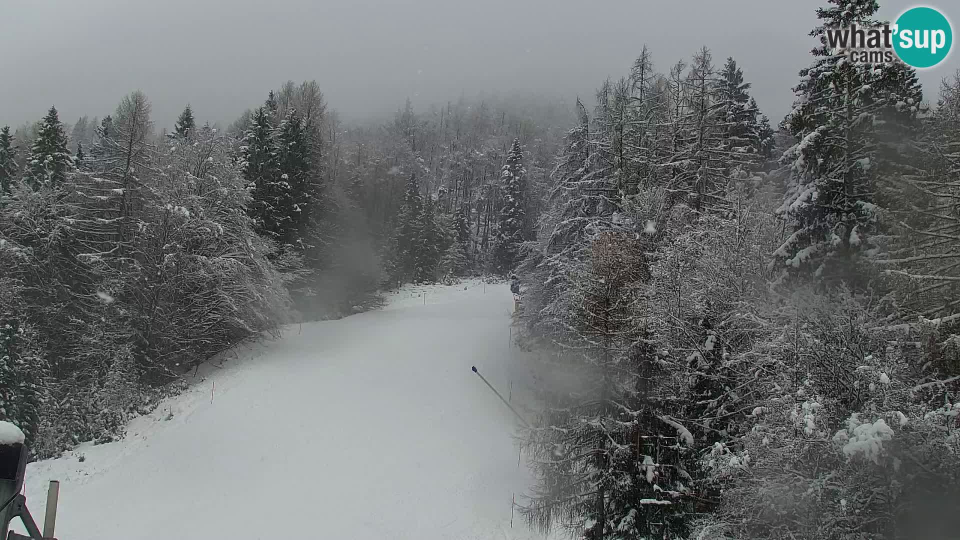 Kranjska Gora livecam VITRANC 1 | estación superior