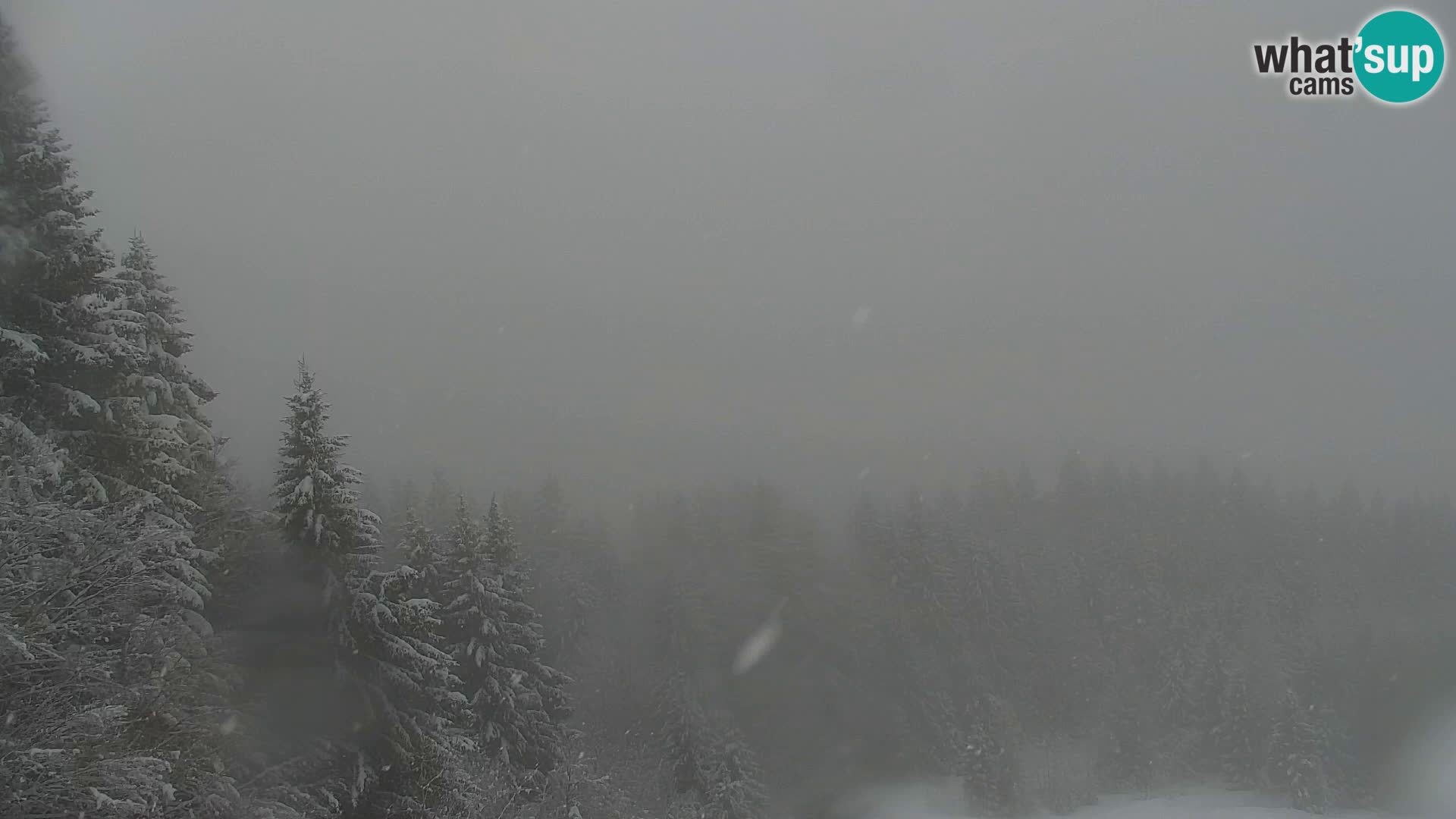 Kranjska Gora livecam VITRANC 1 | estación superior