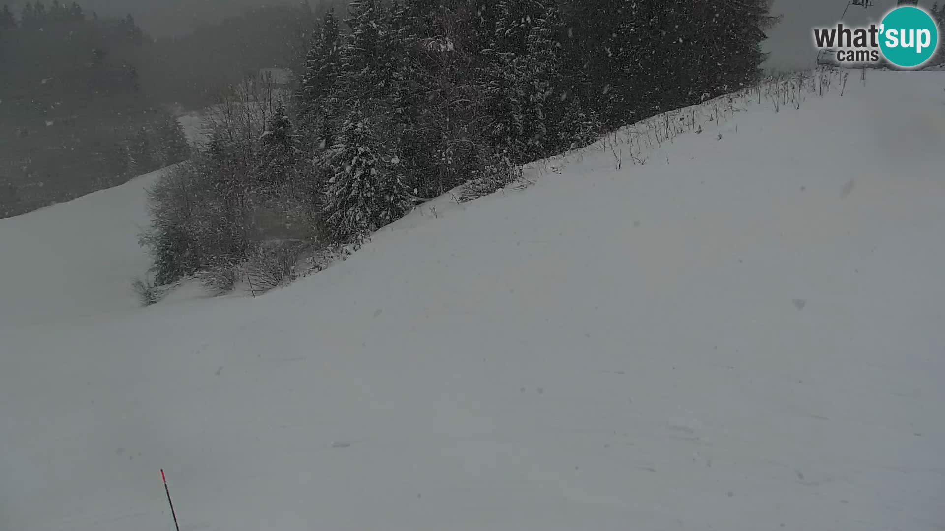 Kranjska Gora kamera VITRANC 1 | Zgornja postaja