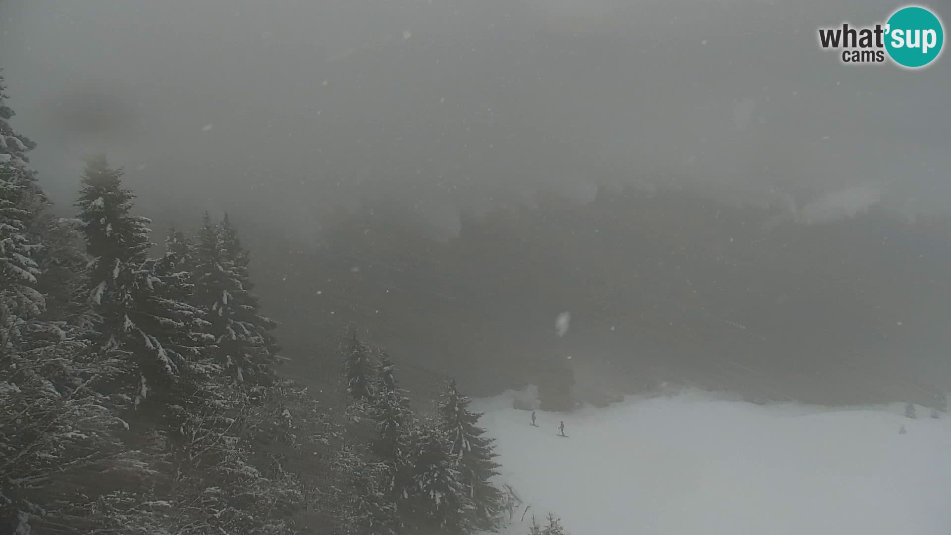 Kranjska Gora livecam VITRANC 1 | estación superior