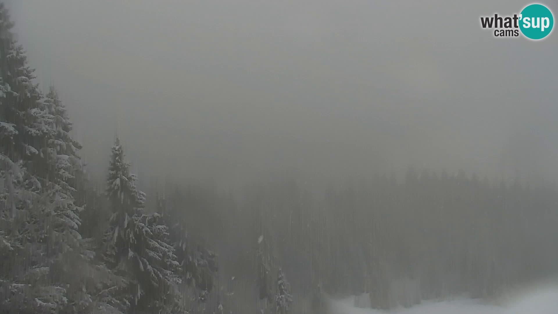 Kranjska Gora kamera VITRANC 1 | Zgornja postaja