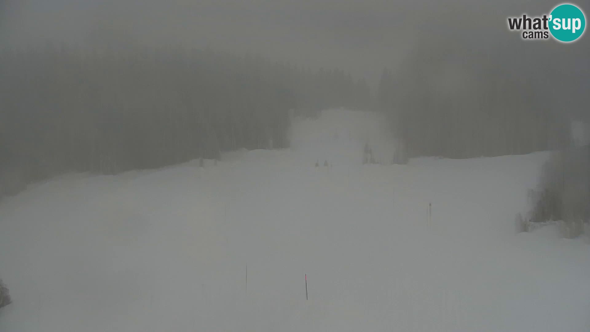 Kranjska Gora web kamera Vitranc | VITRANC 1 gornja postaja