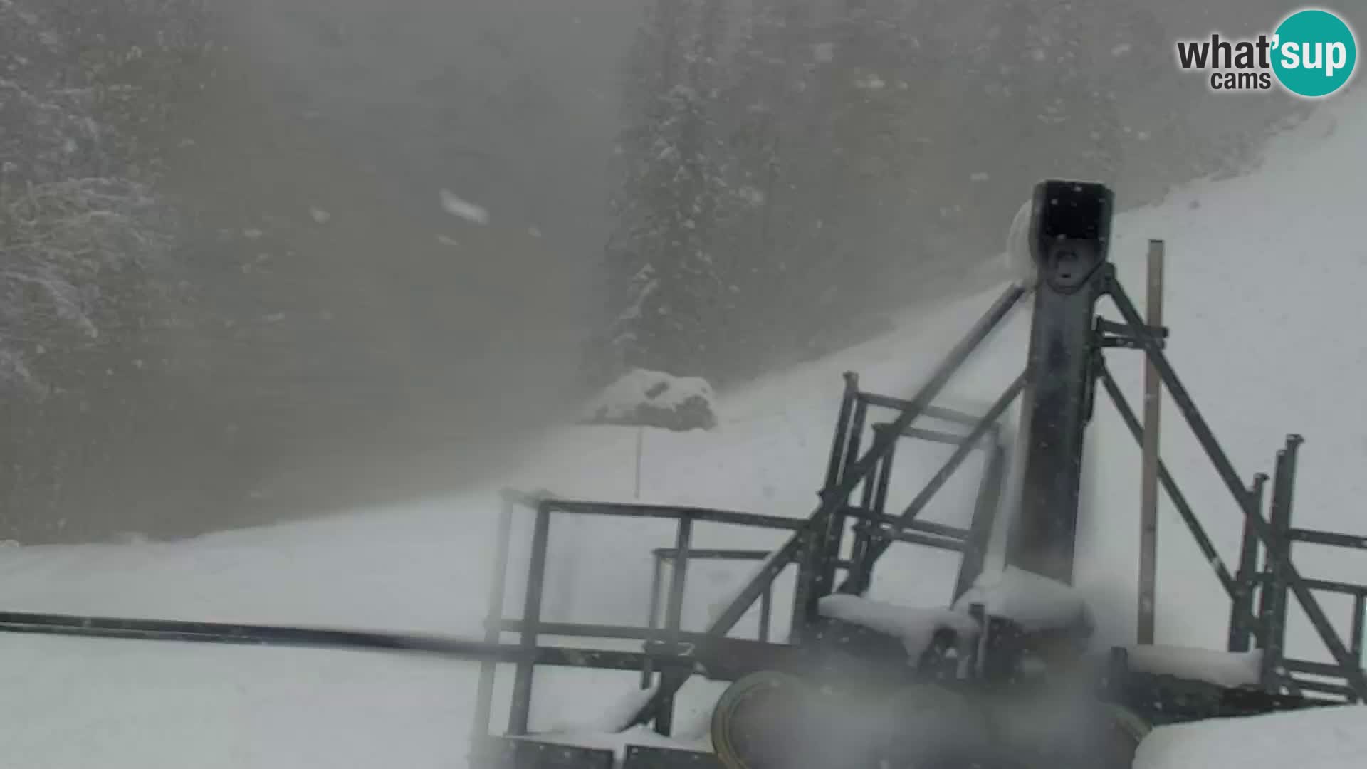 Vitranc Kranjska Gora webcam | VITRANC 1 stazione superiore