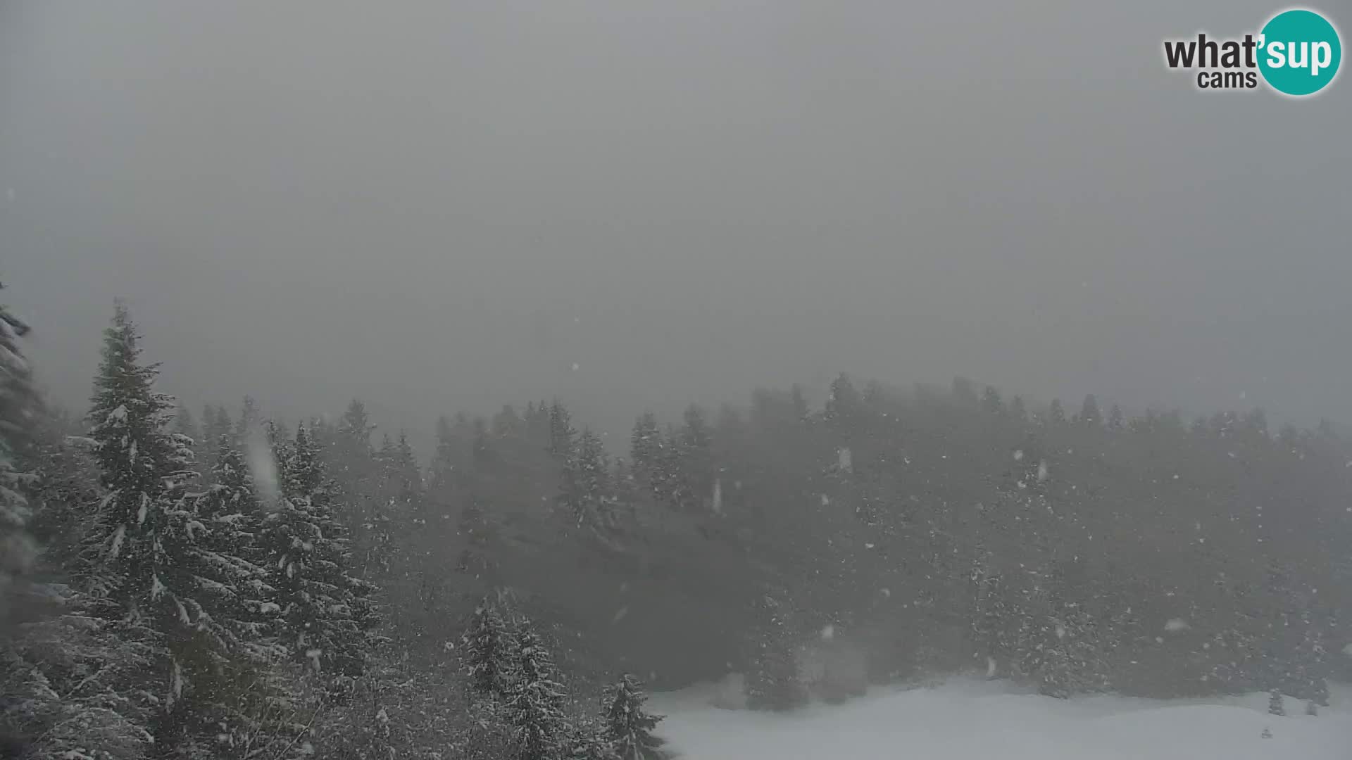 Kranjska Gora webcam VITRANC 1 | obere Station