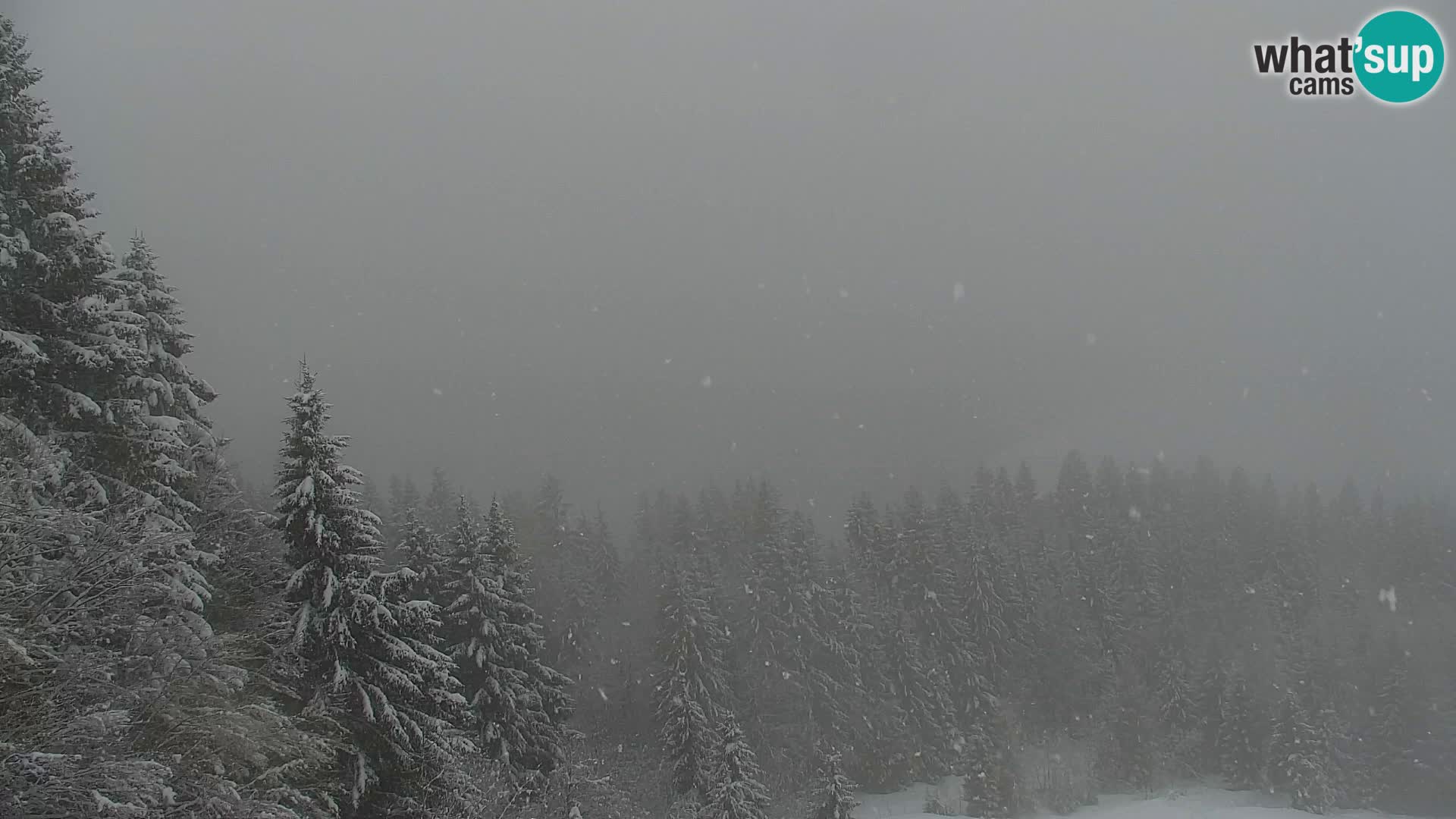 Kranjska Gora web kamera Vitranc | VITRANC 1 gornja postaja