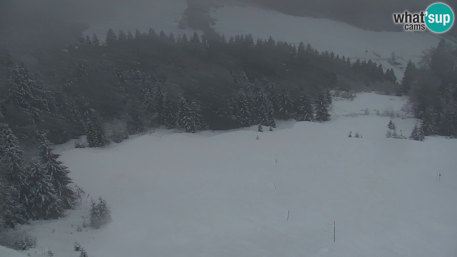 Vitranc Kranjska Gora webcam | VITRANC 1 stazione superiore