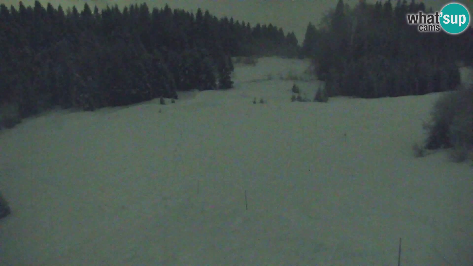 Vitranc Kranjska Gora webcam | VITRANC 1 stazione superiore