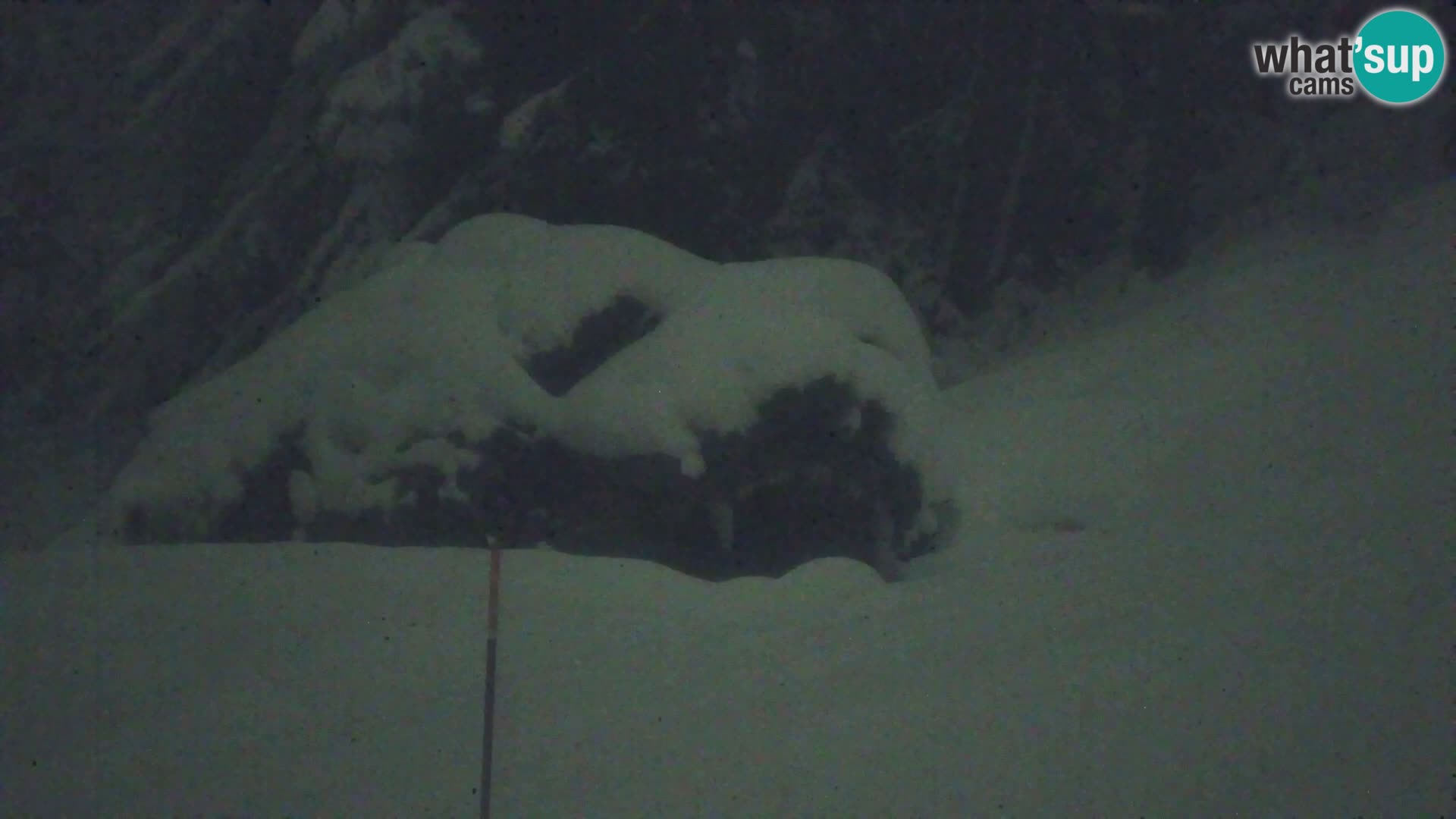 Vitranc Kranjska Gora webcam | VITRANC 1 stazione superiore